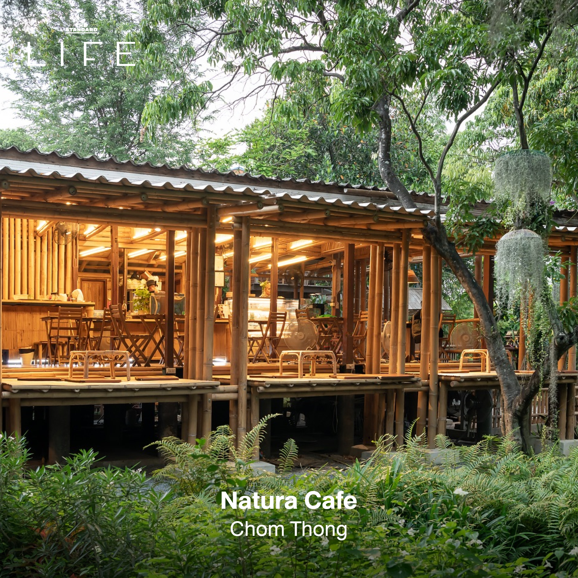 รูปภาพคาเฟ่ใต้ร่มไม้ บรรยากาศร่มรื่นในกรุงเทพฯ เหมาะสำหรับนักวิ่ง 18