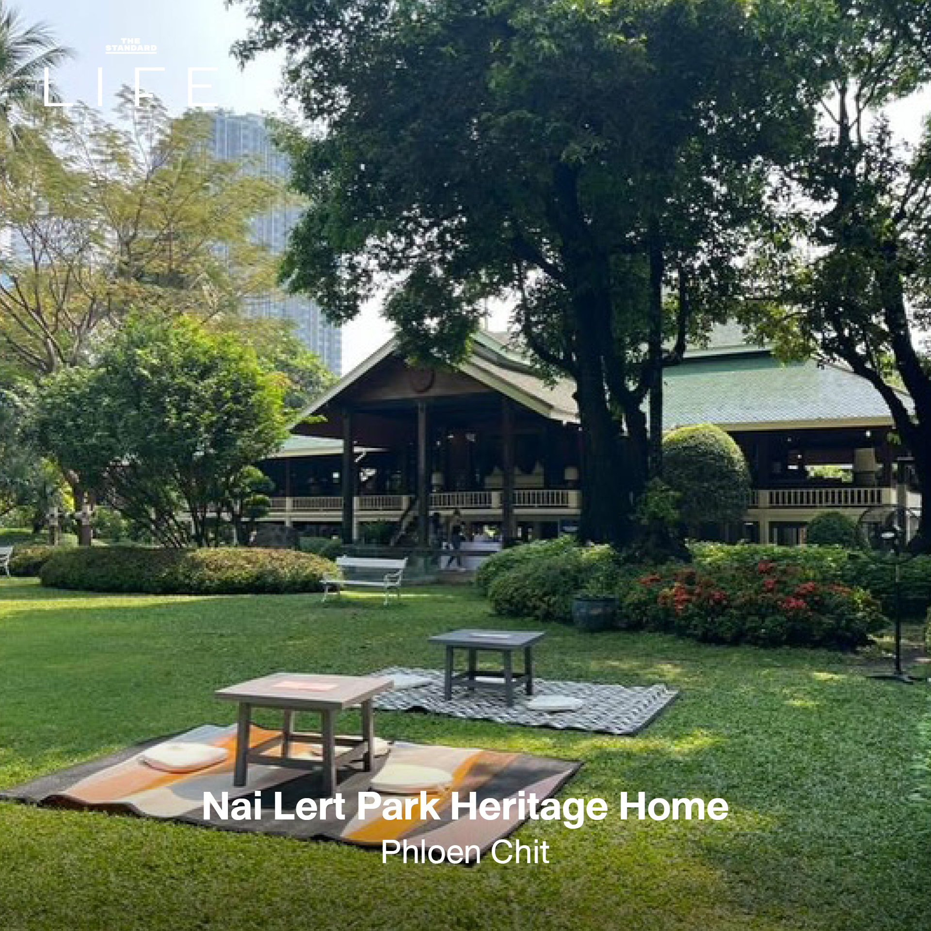 รูปภาพคาเฟ่ใต้ร่มไม้ บรรยากาศร่มรื่นในกรุงเทพฯ เหมาะสำหรับนักวิ่ง 2