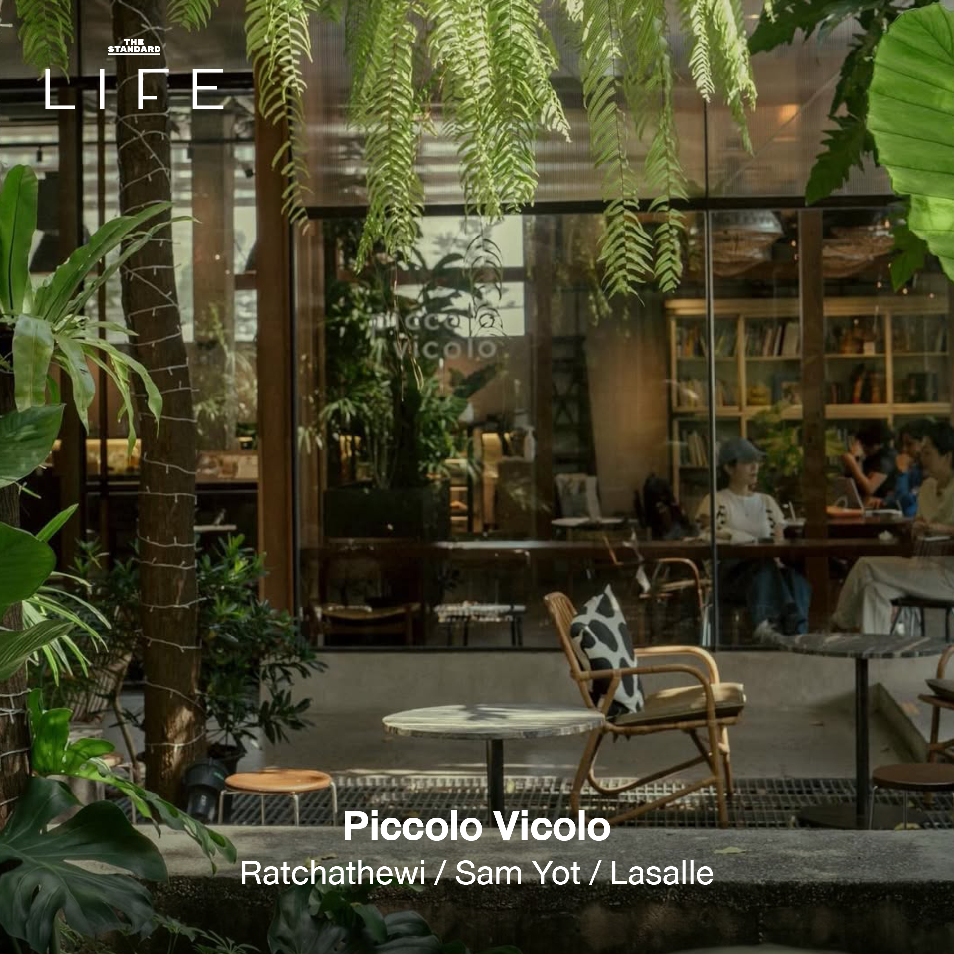 รูปภาพคาเฟ่ใต้ร่มไม้ บรรยากาศร่มรื่นในกรุงเทพฯ เหมาะสำหรับนักวิ่ง 3