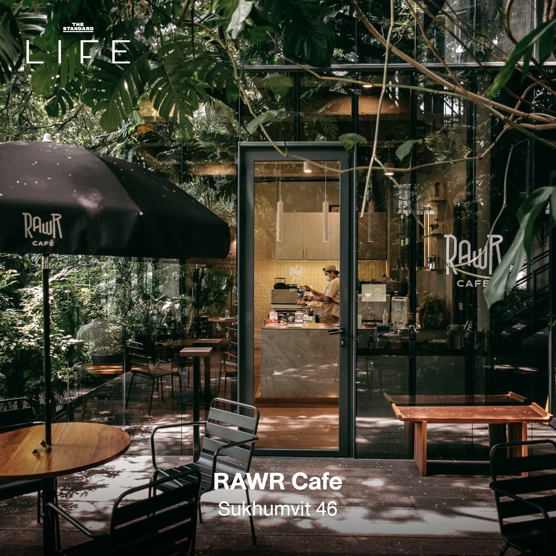 รูปภาพคาเฟ่ใต้ร่มไม้ บรรยากาศร่มรื่นในกรุงเทพฯ เหมาะสำหรับนักวิ่ง 4