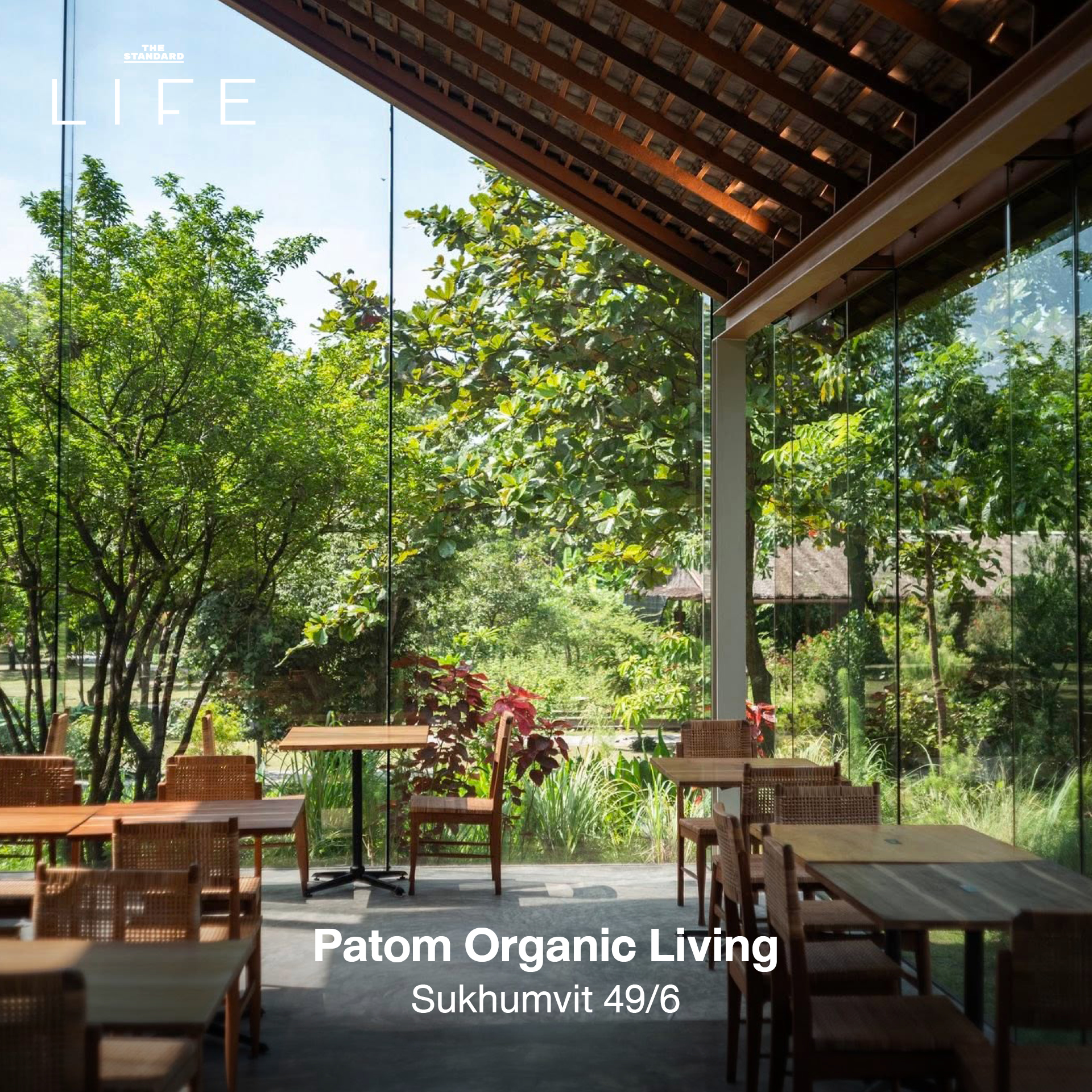 รูปภาพคาเฟ่ใต้ร่มไม้ บรรยากาศร่มรื่นในกรุงเทพฯ เหมาะสำหรับนักวิ่ง 5