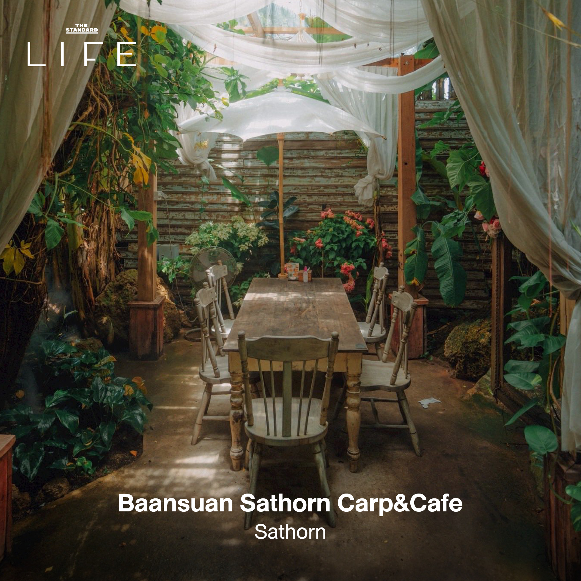 รูปภาพคาเฟ่ใต้ร่มไม้ บรรยากาศร่มรื่นในกรุงเทพฯ เหมาะสำหรับนักวิ่ง 7