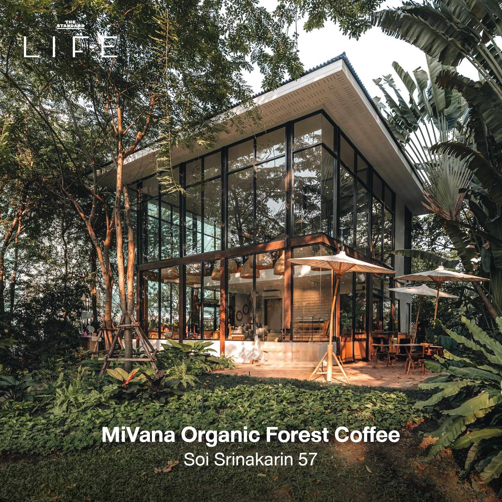 รูปภาพคาเฟ่ใต้ร่มไม้ บรรยากาศร่มรื่นในกรุงเทพฯ เหมาะสำหรับนักวิ่ง 8