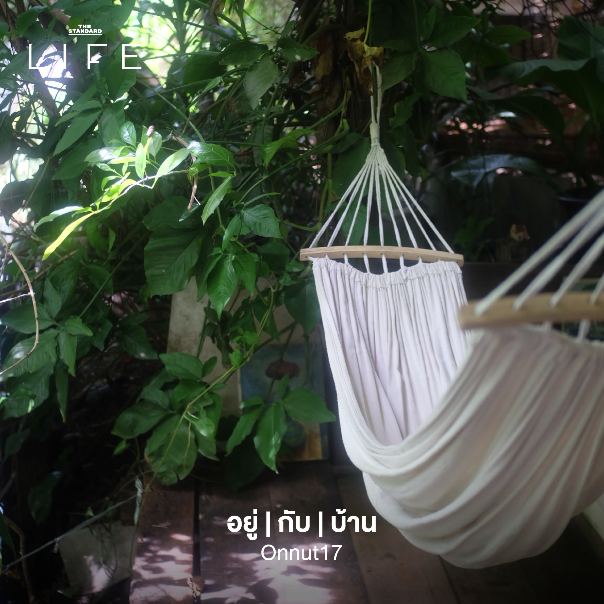 รูปภาพคาเฟ่ใต้ร่มไม้ บรรยากาศร่มรื่นในกรุงเทพฯ เหมาะสำหรับนักวิ่ง 9