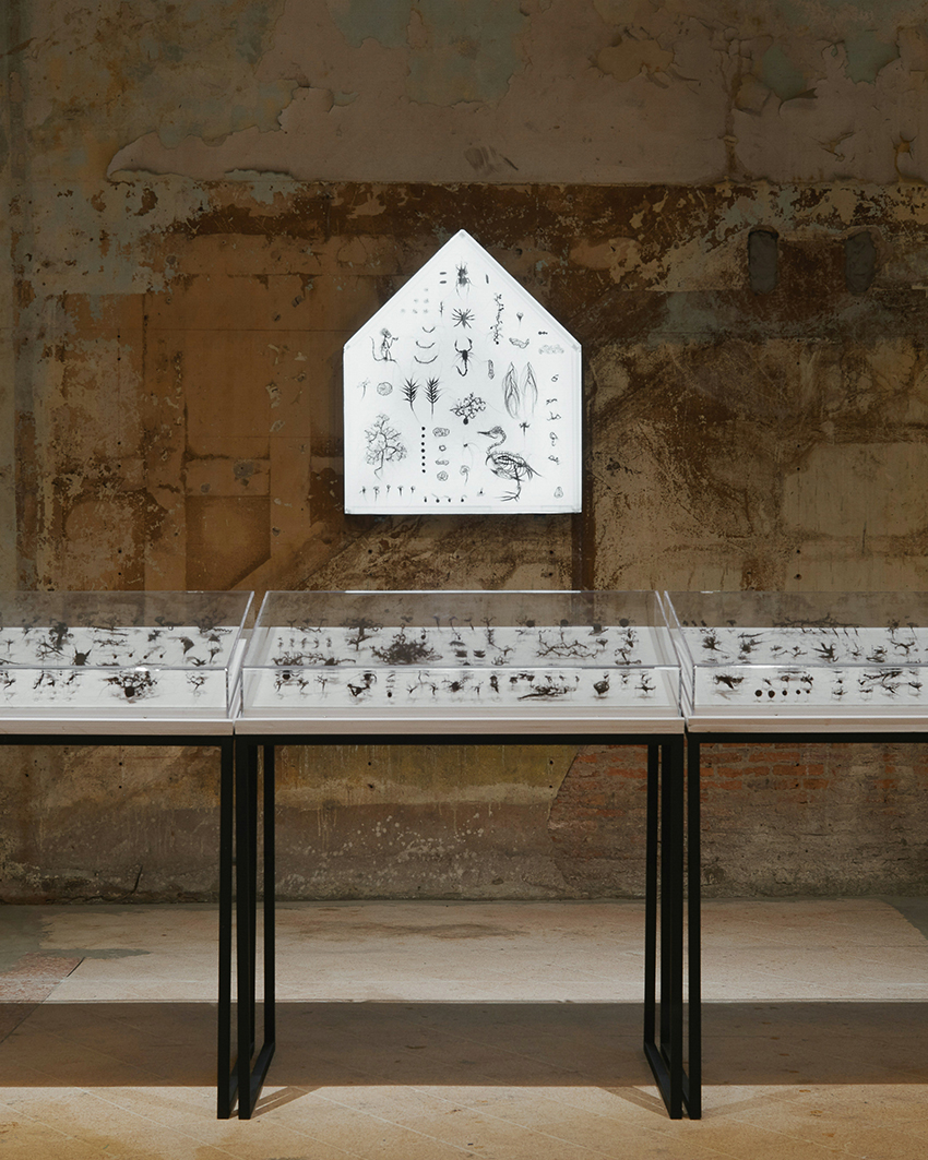 ภาพผลงานศิลปะจัดแสดงในนิทรรศการ Weaving Matter and Memory ของ Bottega Veneta ที่ Bangkok Kunsthalle 5