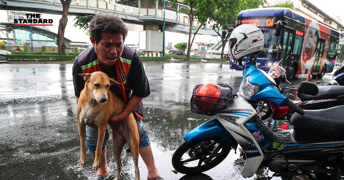 ภาพพี่วินจตุจักรกำลังกอดปลอบสุนัขที่ตื่นกลัวเสียงฟ้าร้องท่ามกลางสายฝน