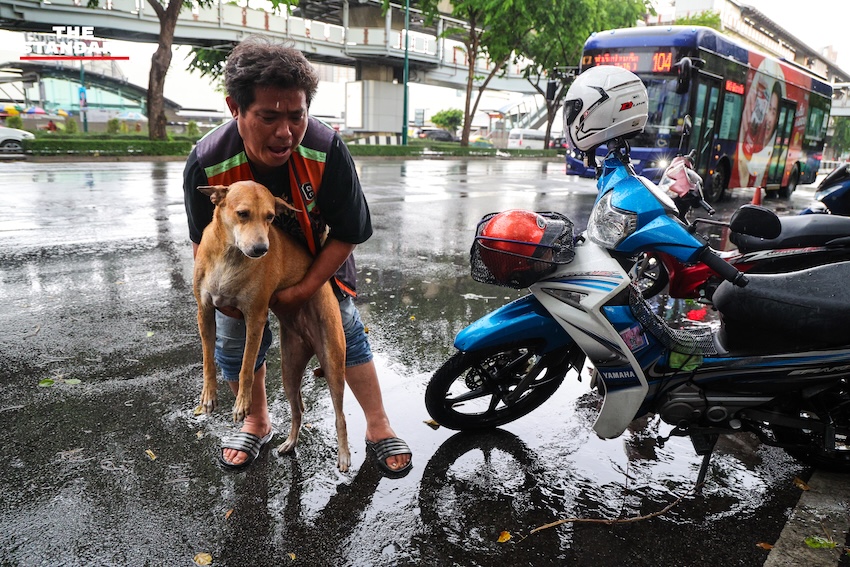 ภาพพี่วินจตุจักรกำลังกอดปลอบสุนัขที่ตื่นกลัวเสียงฟ้าร้องท่ามกลางสายฝน 1