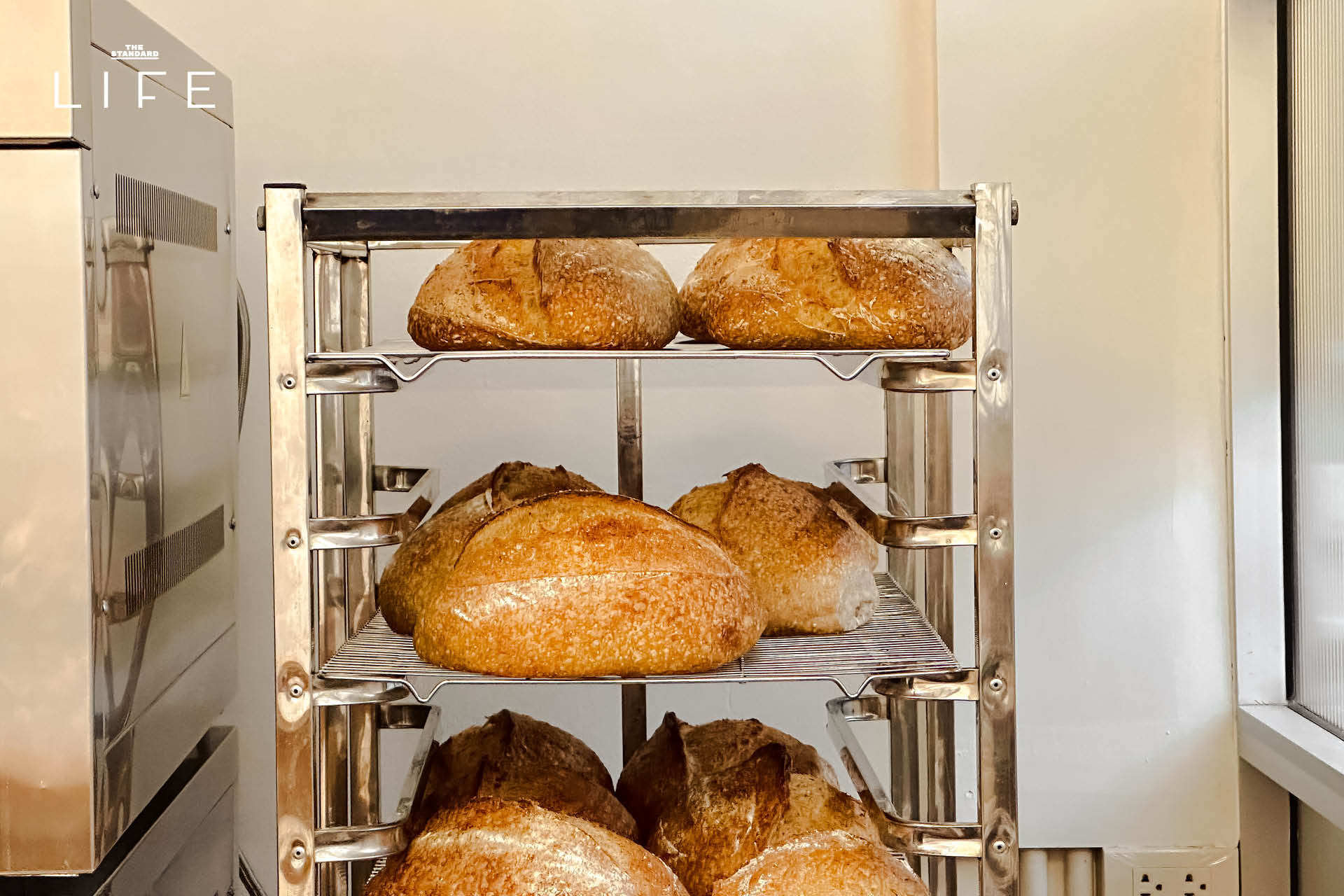 ภาพมุมกว้างของร้าน Drop By Dough สาขาสวนลุมพินี ที่ตกแต่งสไตล์มินิมัลด้วยปูนเปลือยและไม้ 13