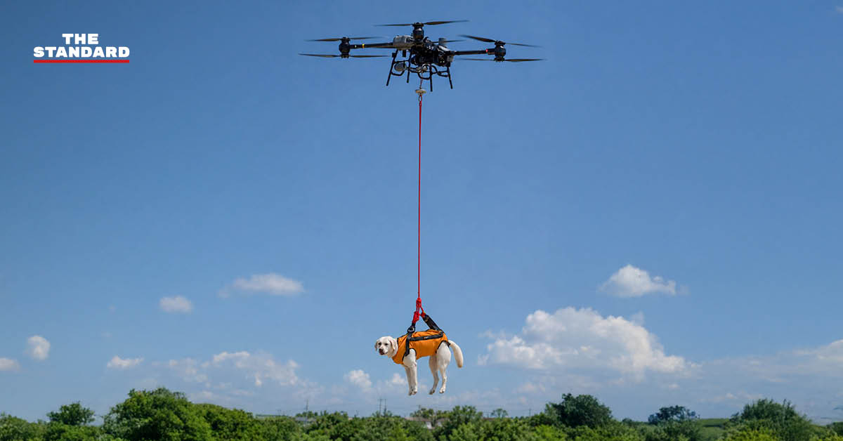 สุนัข K9 USAR และโดรนในการฝึกค้นหาและกู้ภัย
