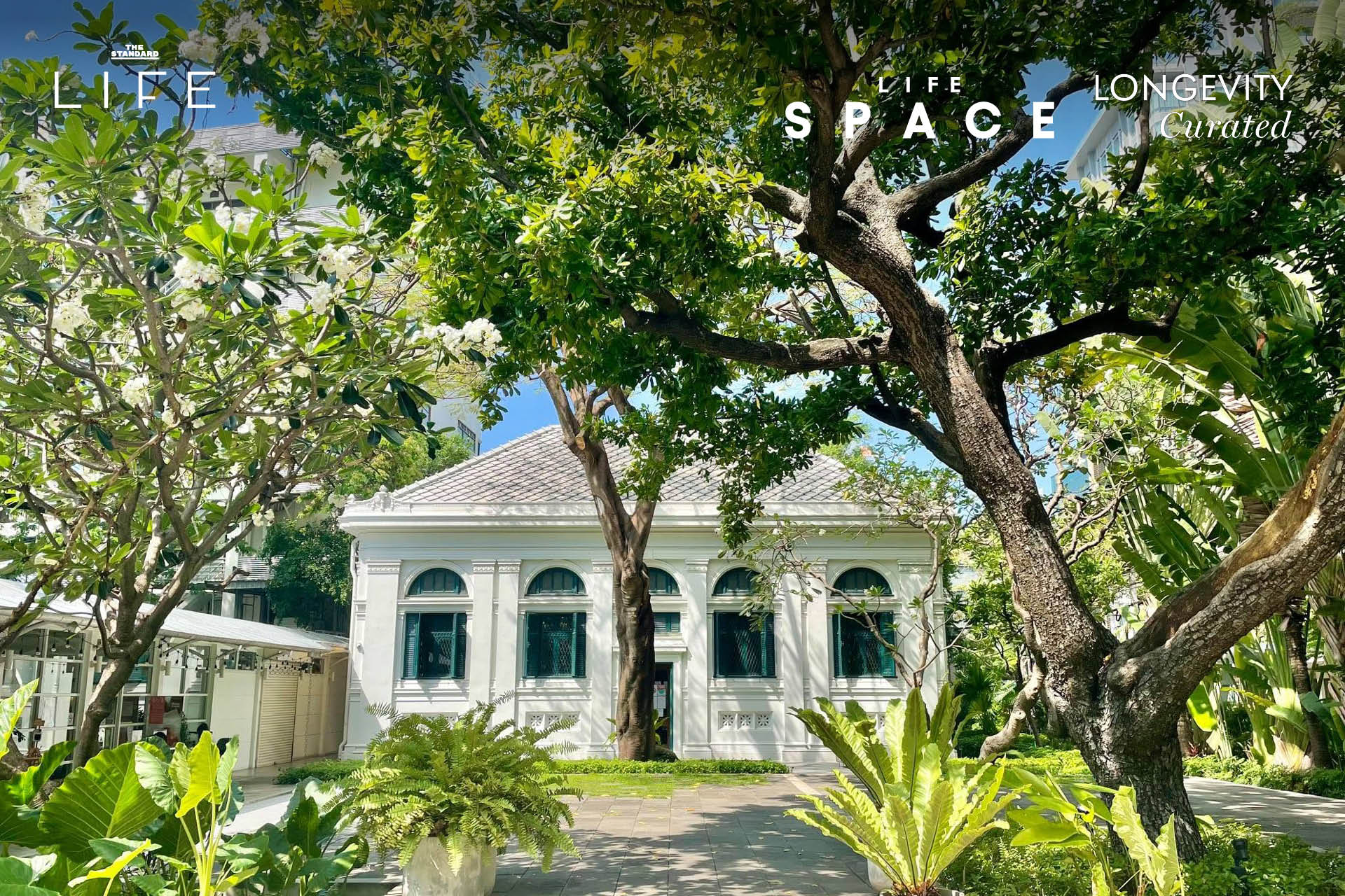 ภาพบรรยากาศภายในห้องสมุด Neilson Hays Library สถาปัตยกรรมคลาสสิกสวยงาม 8