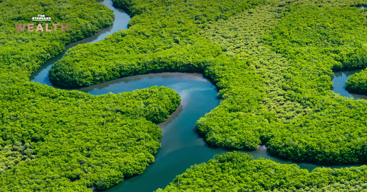 ภาพกราฟิกแสดงการเตรียมออกพันธบัตร Sustainability-Linked Bond เพิ่ม 1.8 แสนล้านบาท ภายในปีงบประมาณ 2569