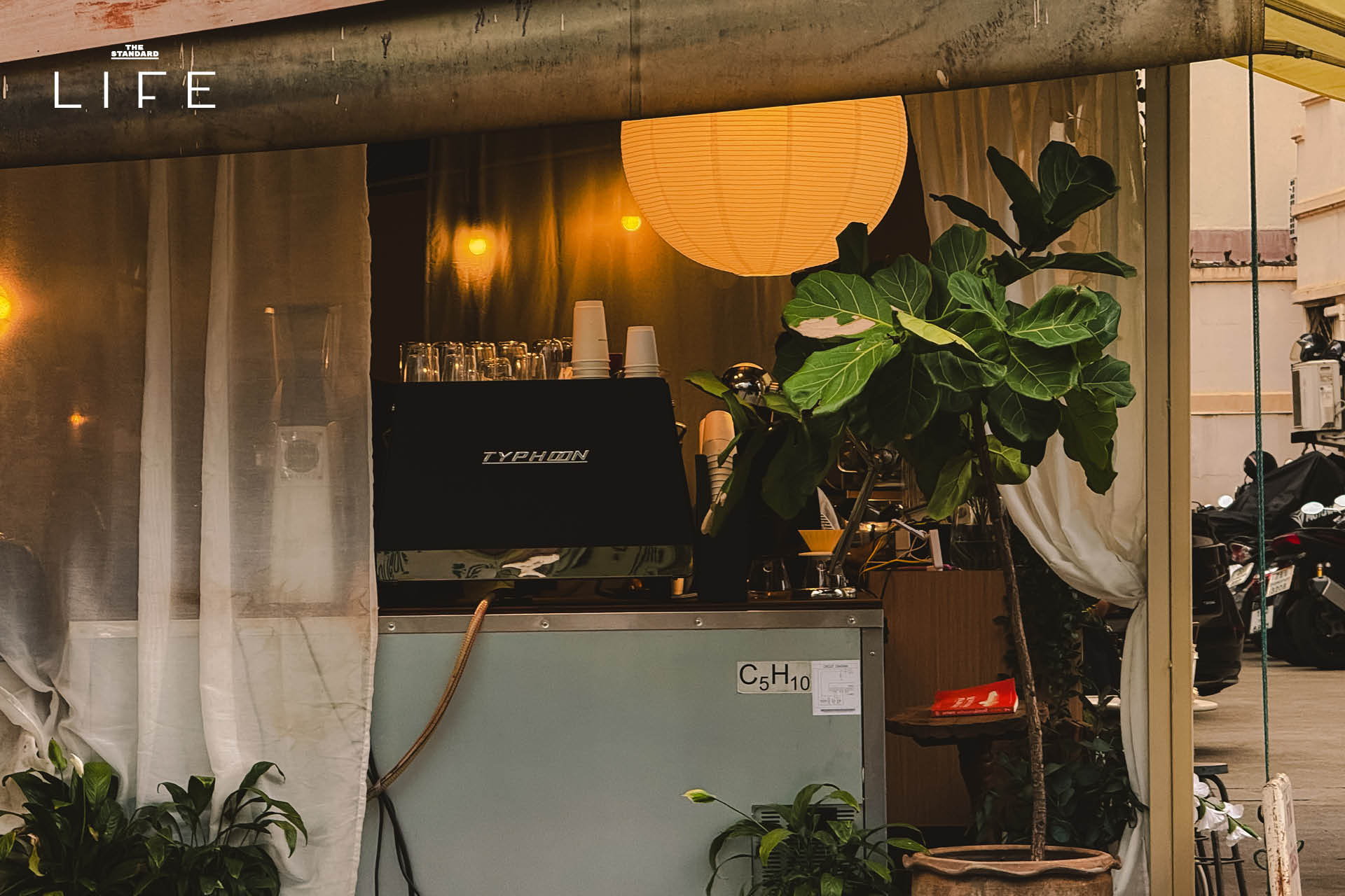 ภาพบรรยากาศร้าน Plum & Tobacco คาเฟ่สโลว์ไลฟ์แห่งใหม่ในซอยรัชดา 19 10