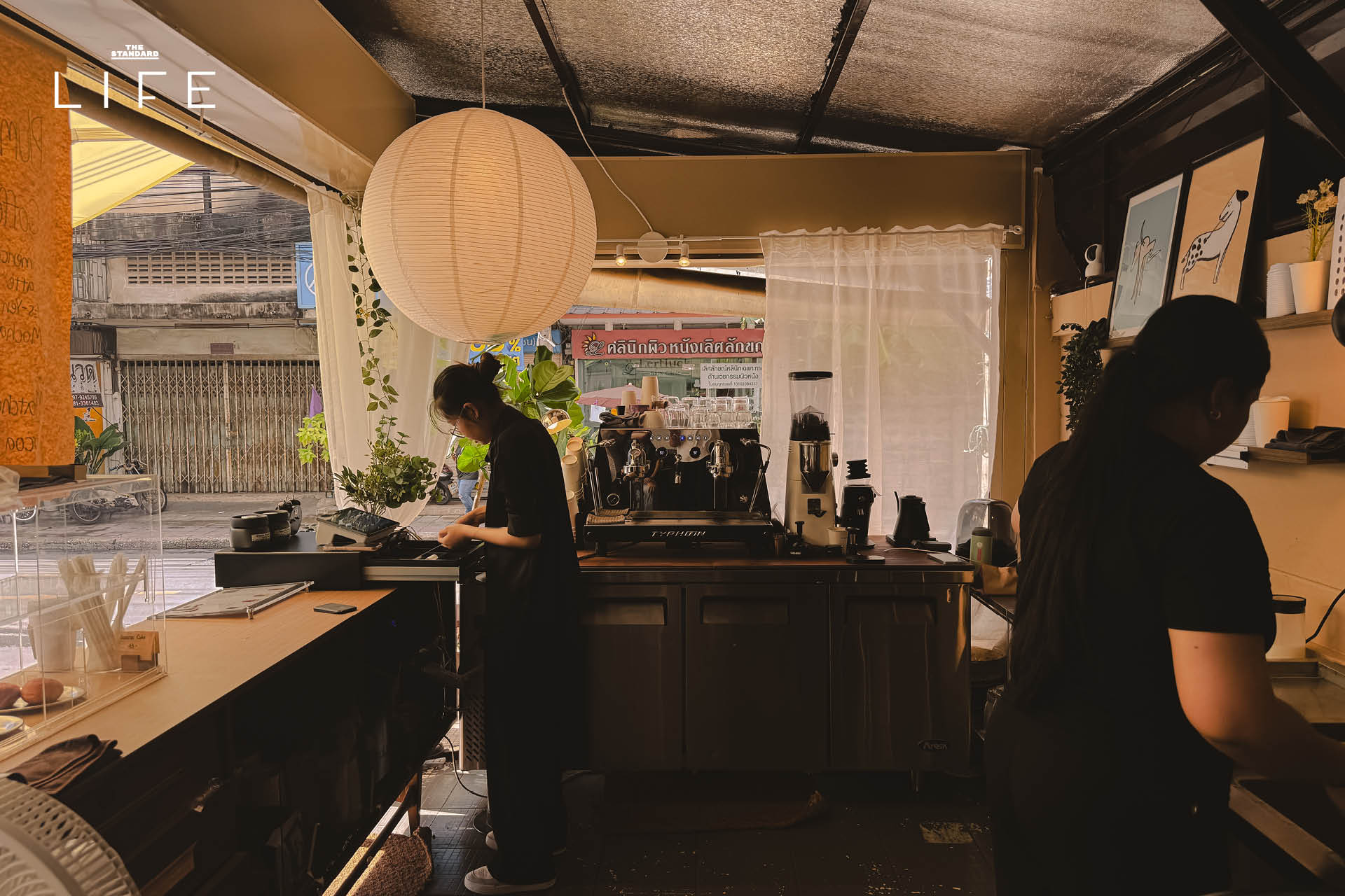 ภาพบรรยากาศร้าน Plum & Tobacco คาเฟ่สโลว์ไลฟ์แห่งใหม่ในซอยรัชดา 19 4