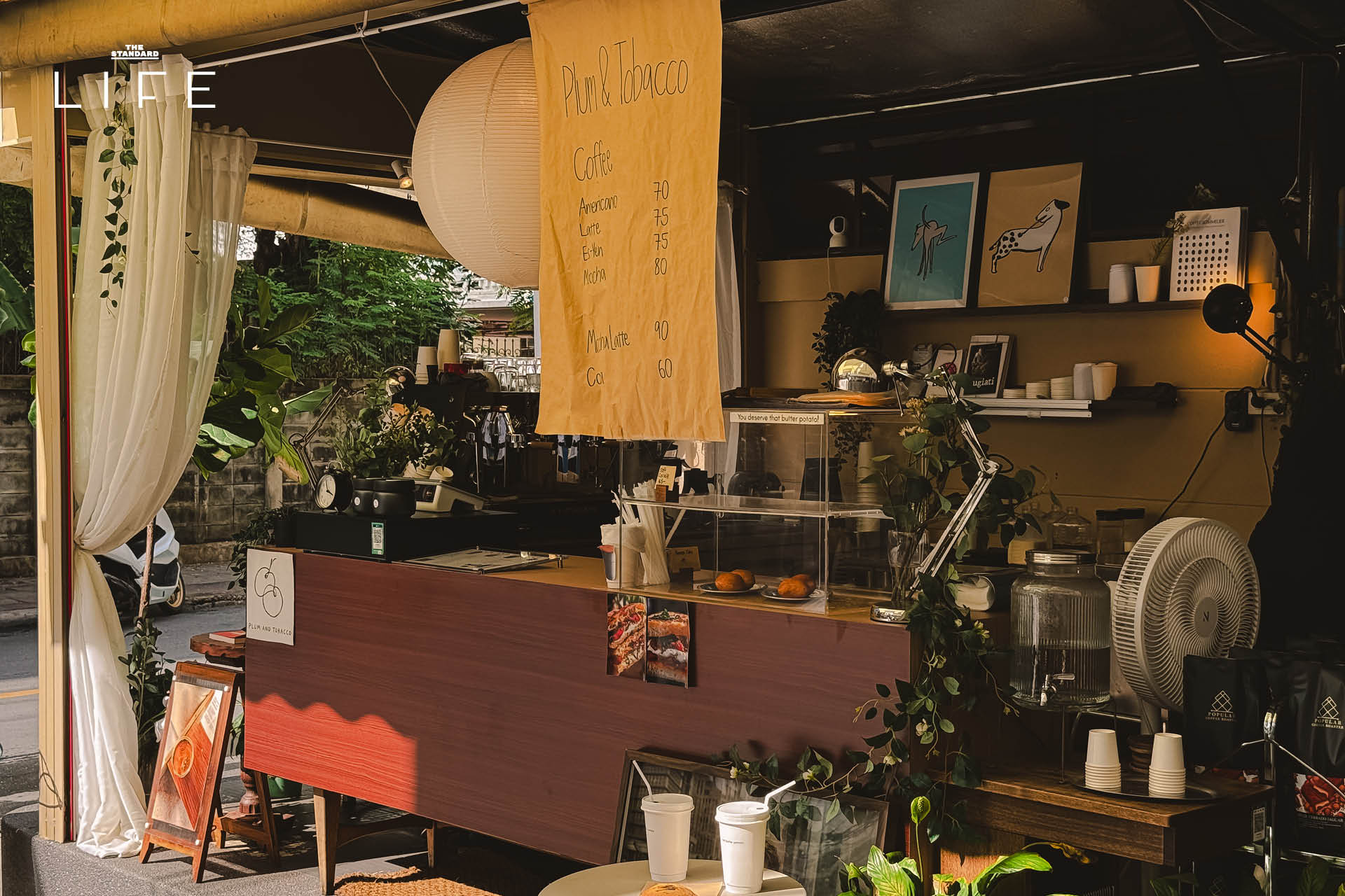 ภาพบรรยากาศร้าน Plum & Tobacco คาเฟ่สโลว์ไลฟ์แห่งใหม่ในซอยรัชดา 19 5