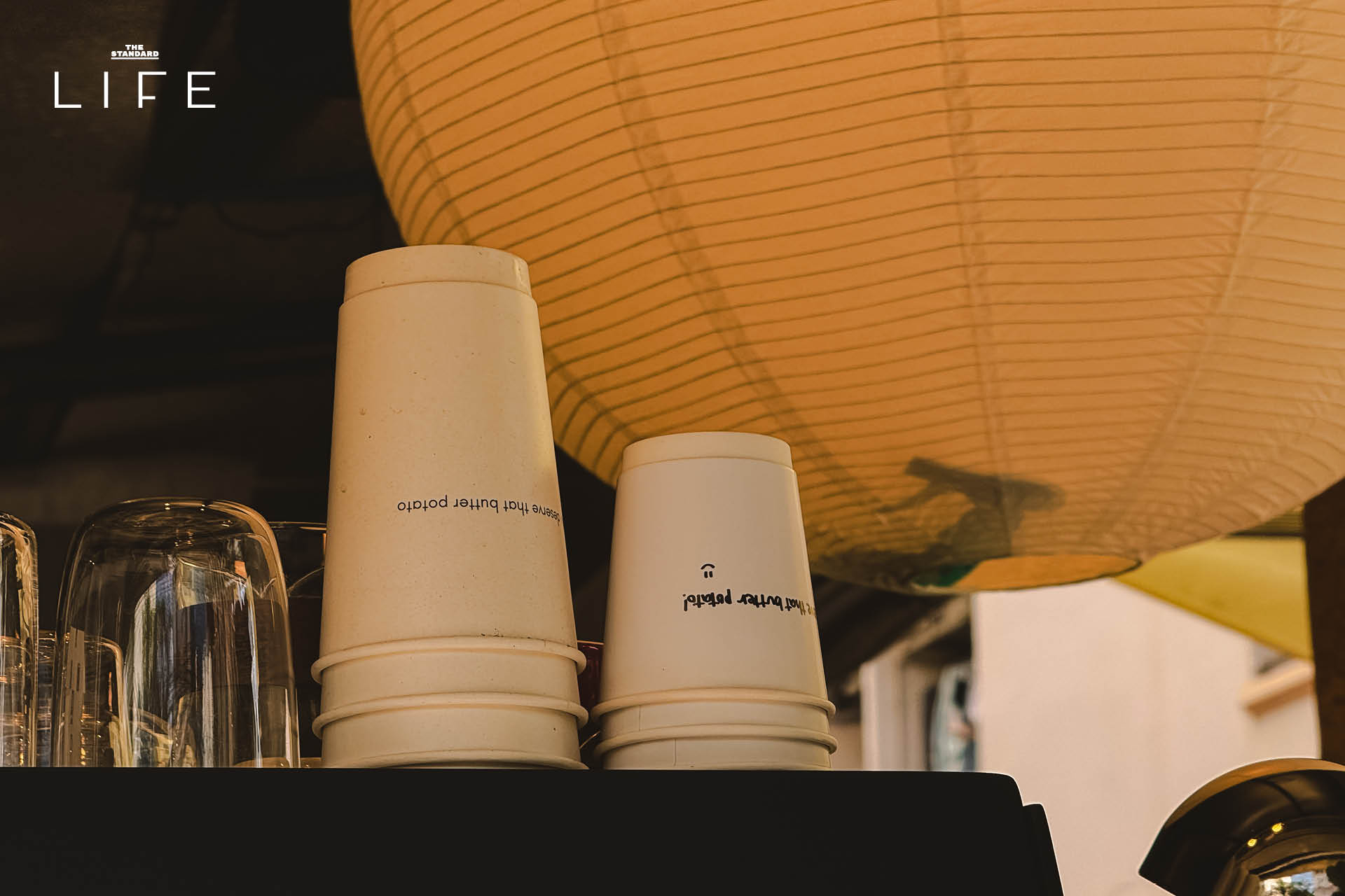 ภาพบรรยากาศร้าน Plum & Tobacco คาเฟ่สโลว์ไลฟ์แห่งใหม่ในซอยรัชดา 19 7