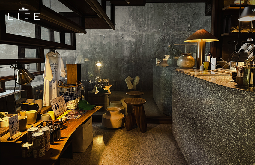 ภาพมุมกว้างภายในคาเฟ่ PULSE Tanao ที่มีแสงธรรมชาติส่องถึงและบรรยากาศอบอุ่น 4