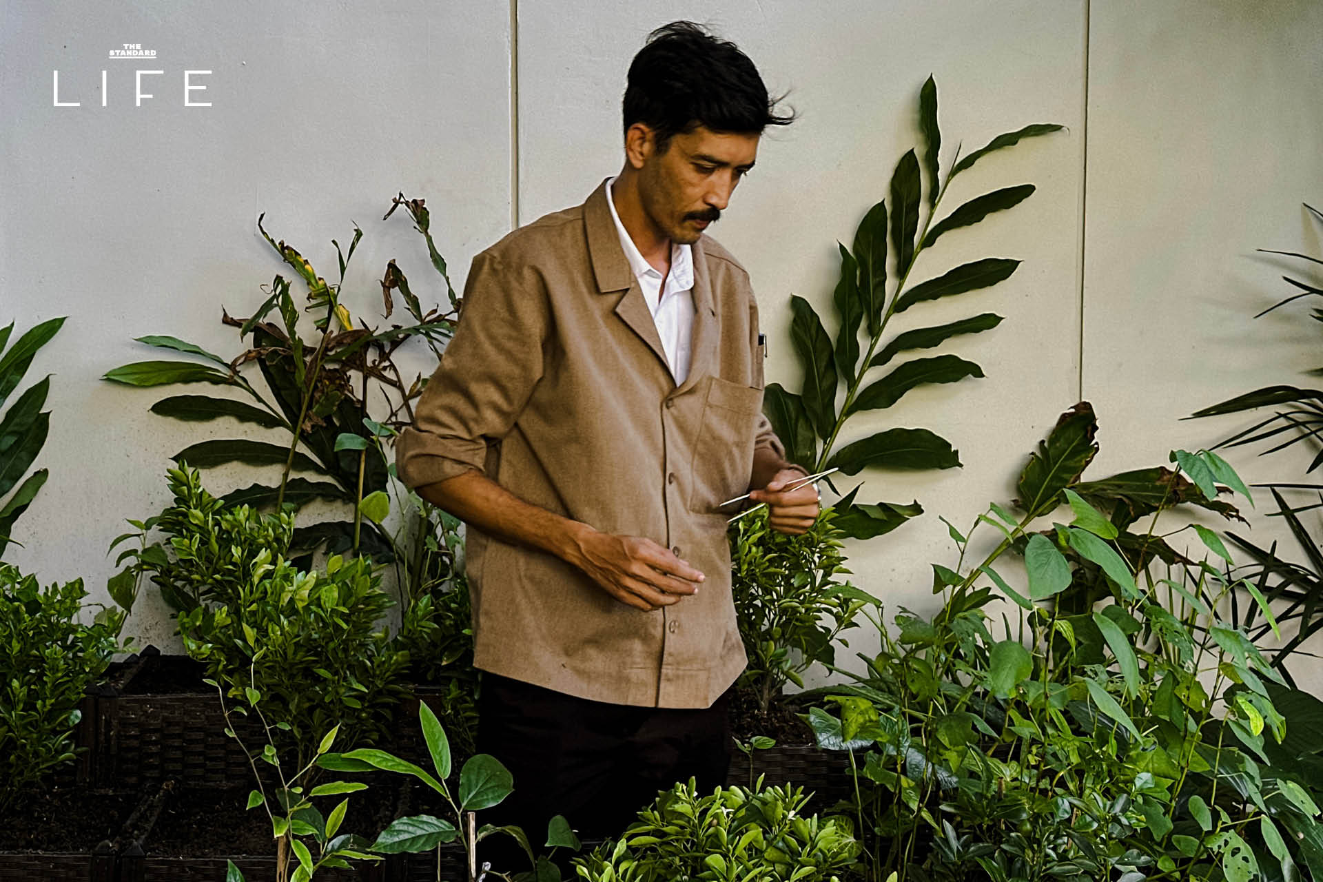ภาพค็อกเทล Zero-waste ที่ Sipping Tiger บาร์ลับแห่งใหม่ในภูเก็ต 1