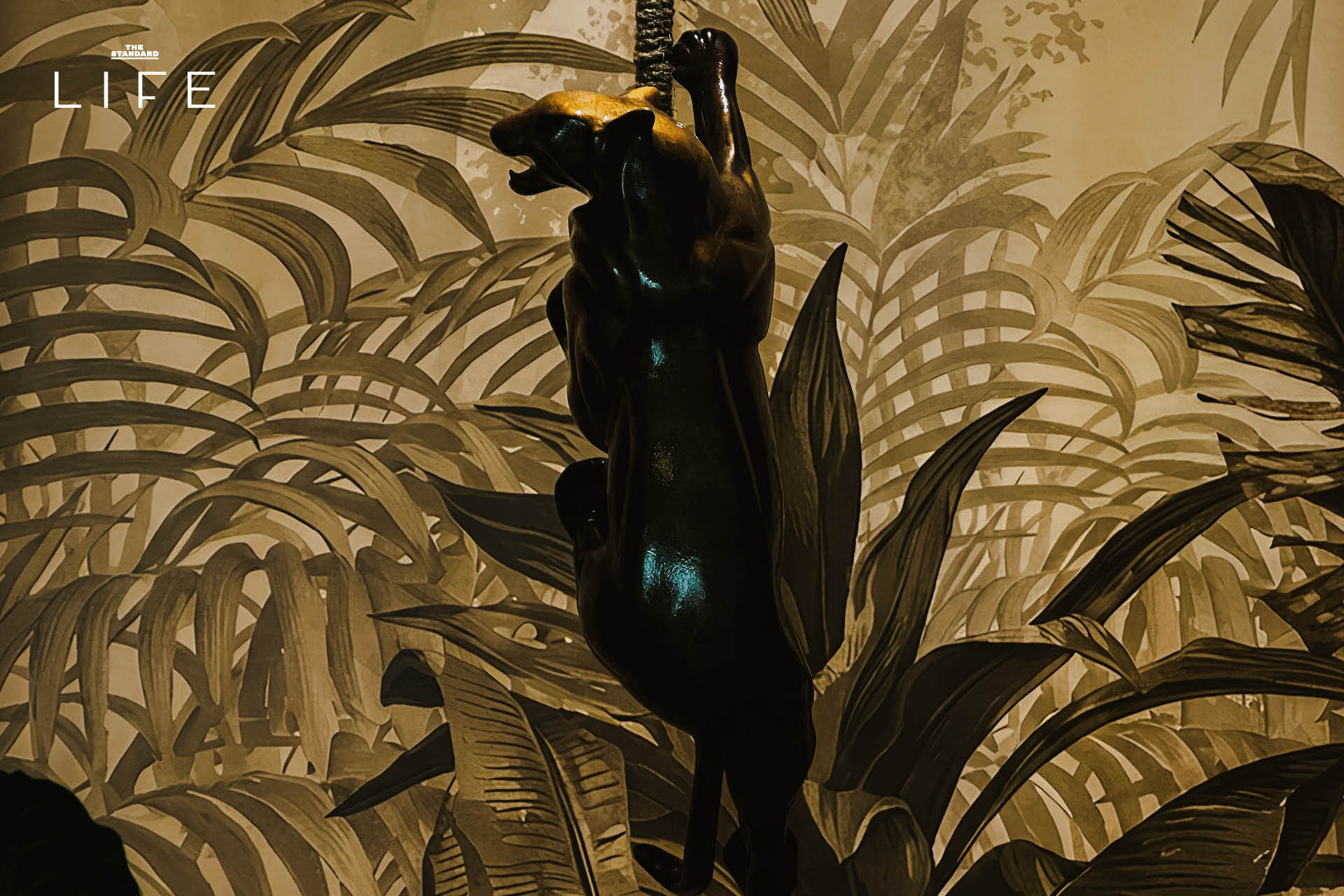 ภาพค็อกเทล Zero-waste ที่ Sipping Tiger บาร์ลับแห่งใหม่ในภูเก็ต 9