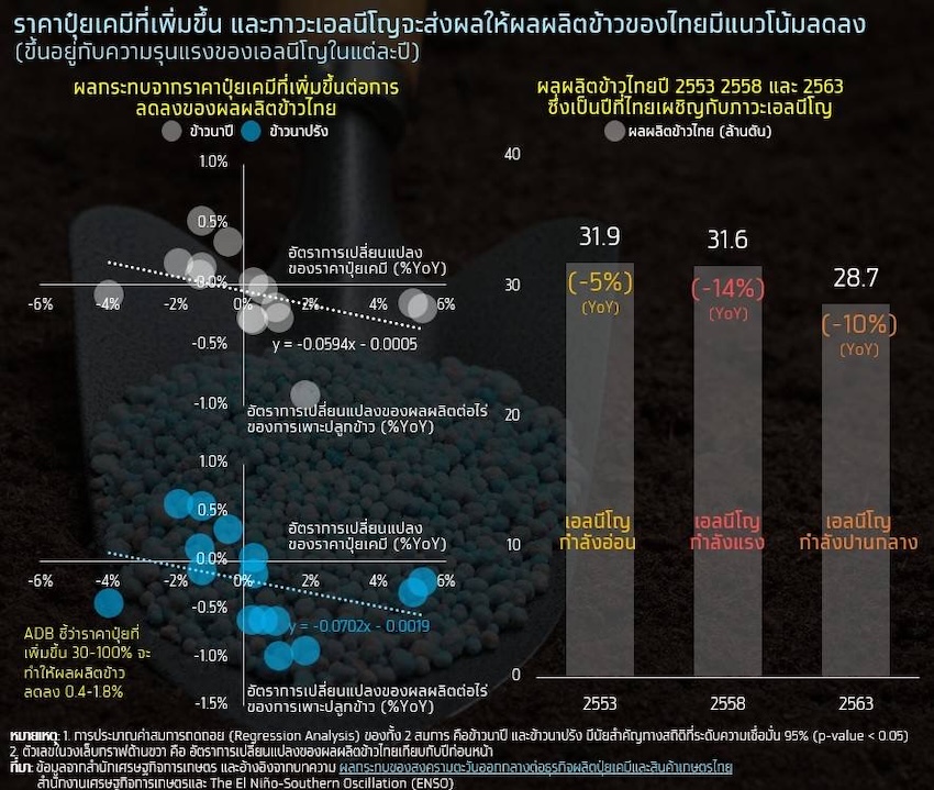 ภาพอินโฟกราฟิกแสดงสถานการณ์วิกฤตข้าวไทยและการส่งออกที่คาดว่าจะติดลบ 15% 2