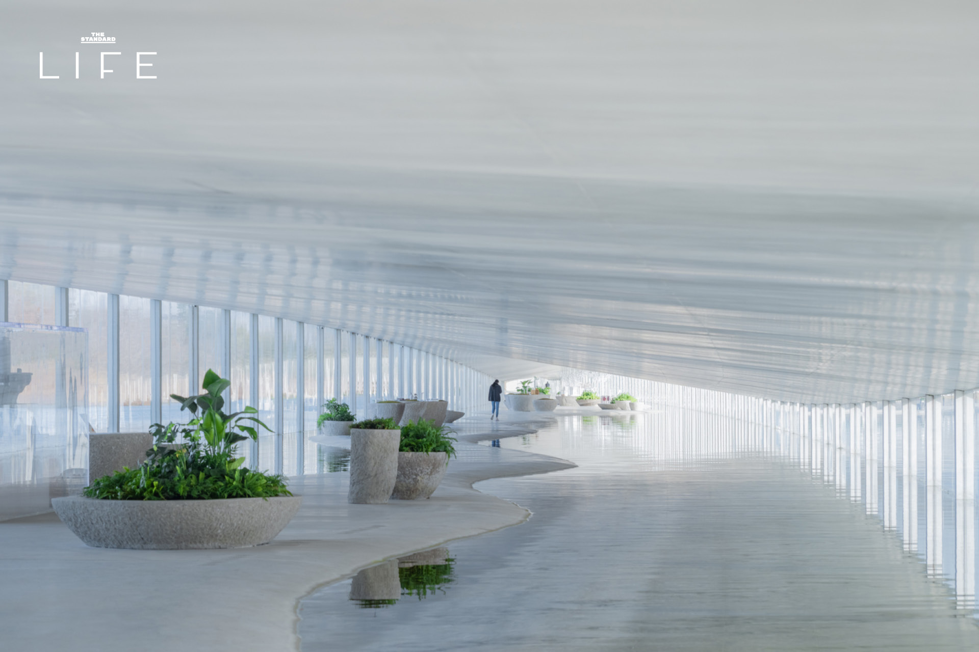 ภาพมุมกว้างของ Zaishui Art Museum พิพิธภัณฑ์ศิลปะบนผืนน้ำที่ทอดยาวขนานไปกับทะเลสาบ 6