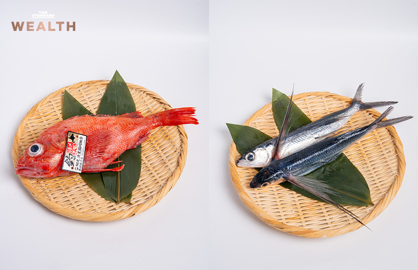 Kaiten Sushi Ginza Onodera ที่ centralwOrld 