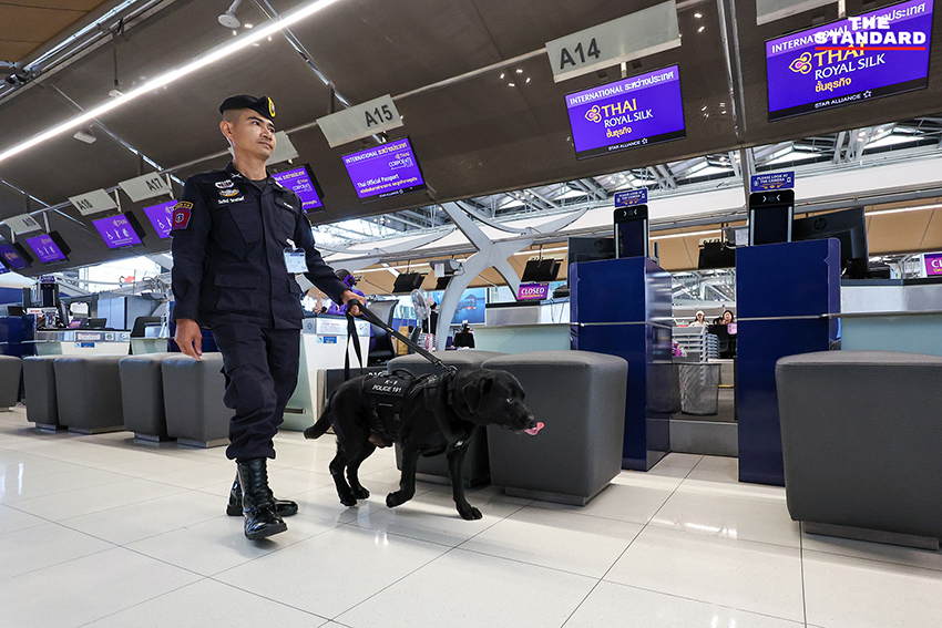 สุนัข K-9 กำลังปฏิบัติหน้าที่ตรวจค้นสัมภาระที่ท่าอากาศยานสุวรรณภูมิ 4