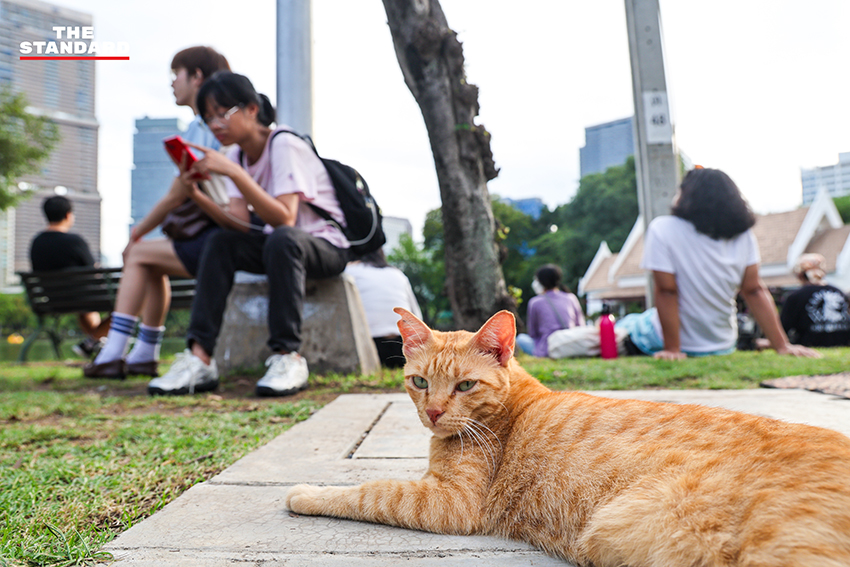 ผู้คนนั่งเงียบๆ ในสวนสาธารณะระหว่างกิจกรรม 'นั่งเฉยๆ ไม่ทำอะไรเลย' 4