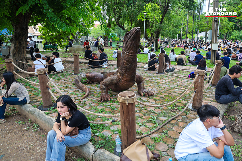 ผู้คนนั่งเงียบๆ ในสวนสาธารณะระหว่างกิจกรรม 'นั่งเฉยๆ ไม่ทำอะไรเลย' 9