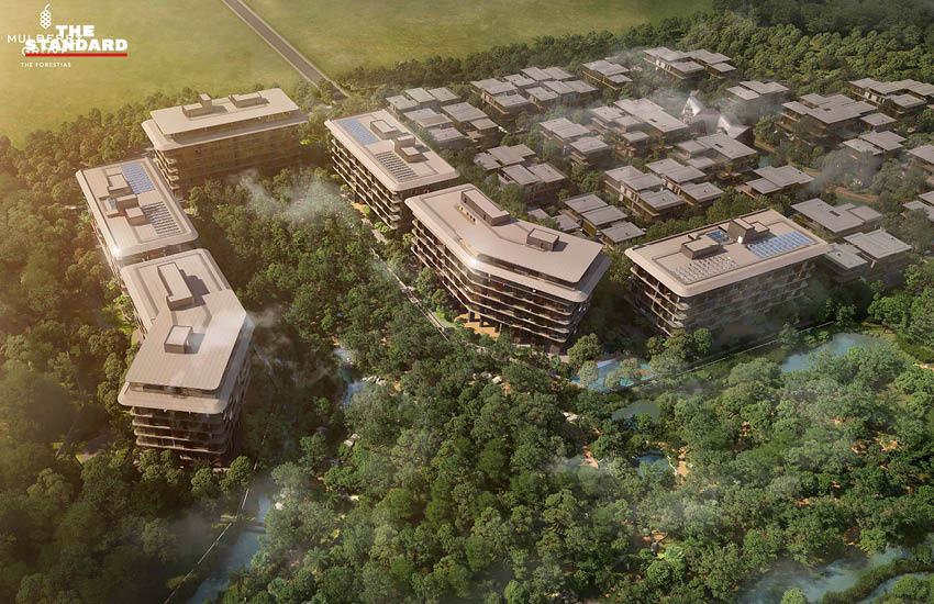 ภาพจำลองโครงการอสังหาริมทรัพย์ MQDC เช่น มัลเบอร์รี โกรฟ และ คลาวด์ อีเลฟเว่น 3