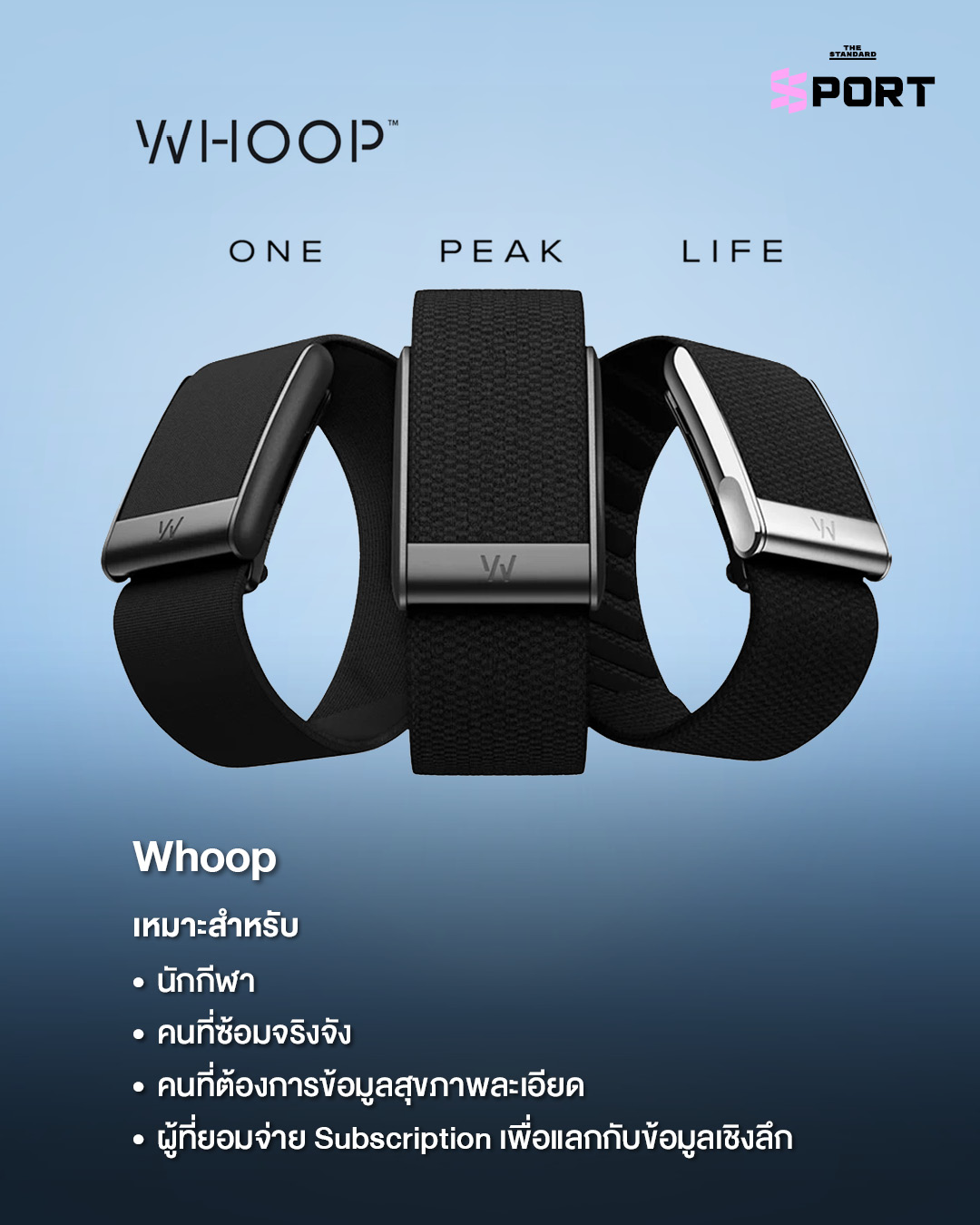 ภาพเปรียบเทียบ Smart Band 3 รุ่น ได้แก่ Google Fitbit Air, Whoop และ Amazfit Helio Strap 6