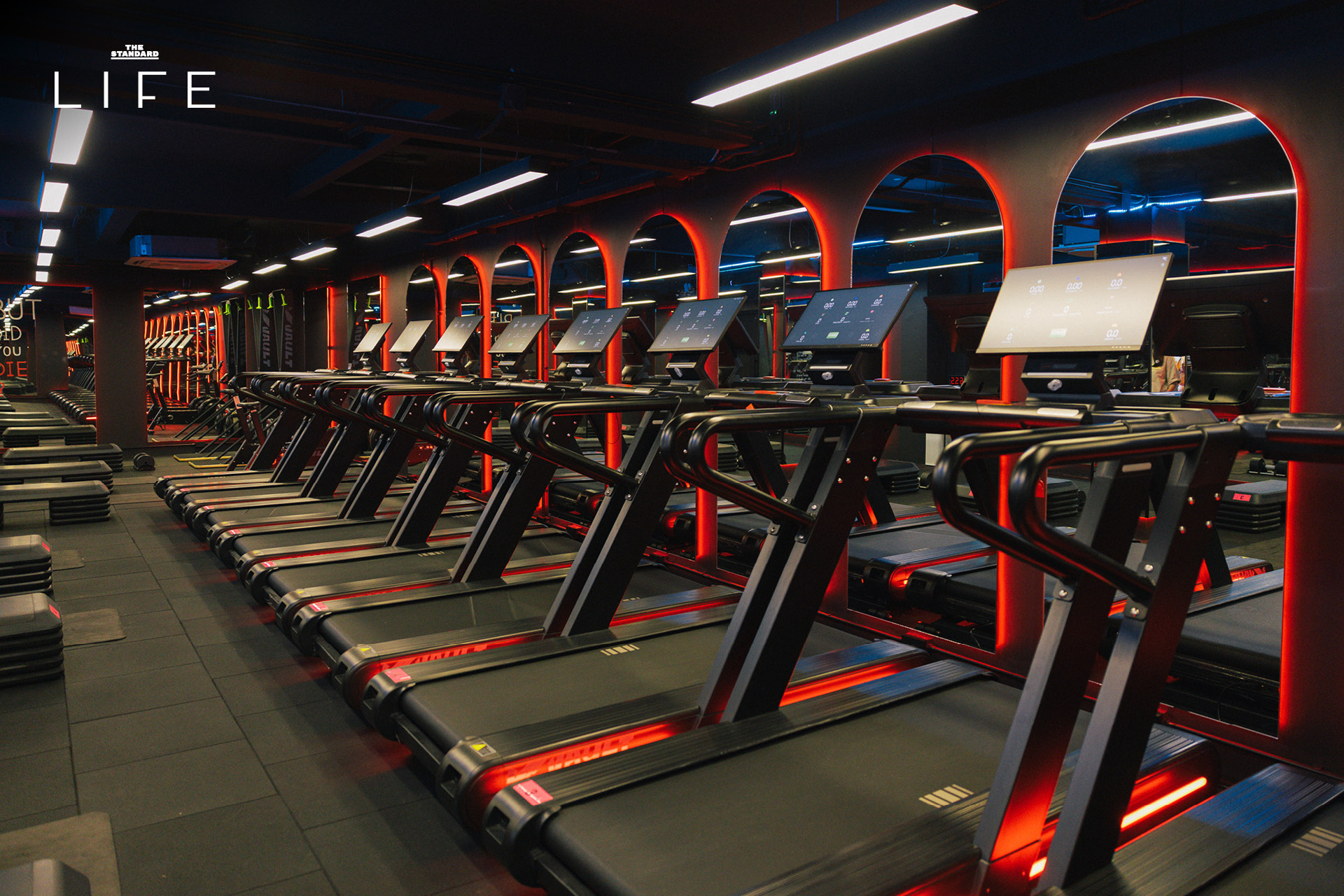 ผู้คนกำลังออกกำลังกายในคลาส HIIT + ASS & ABS ภายในยิม VAULT ที่ตกแต่งด้วยโทนสีแดง 1