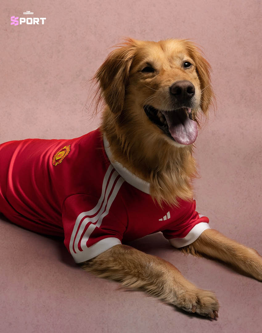 สุนัขสวมเสื้อฟุตบอล adidas ของสโมสรดังจากคอลเล็กชัน Clubs Pet Collection 1