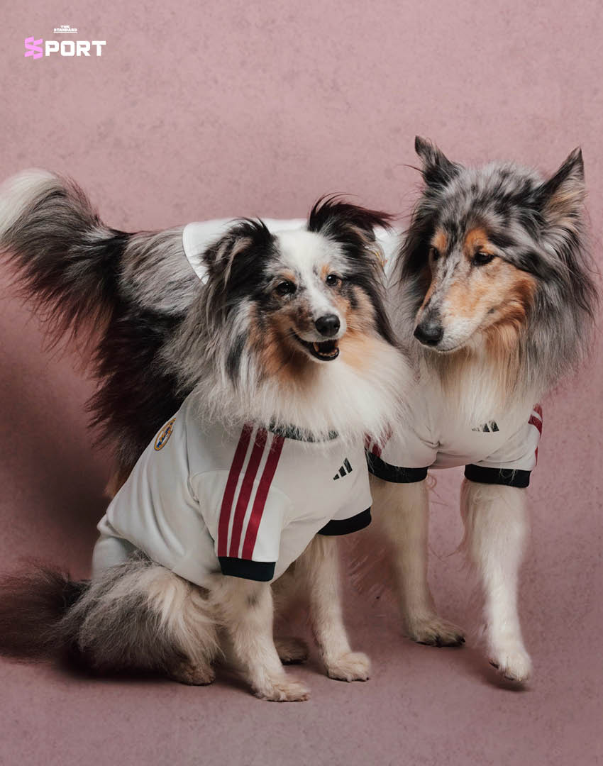 สุนัขสวมเสื้อฟุตบอล adidas ของสโมสรดังจากคอลเล็กชัน Clubs Pet Collection 4