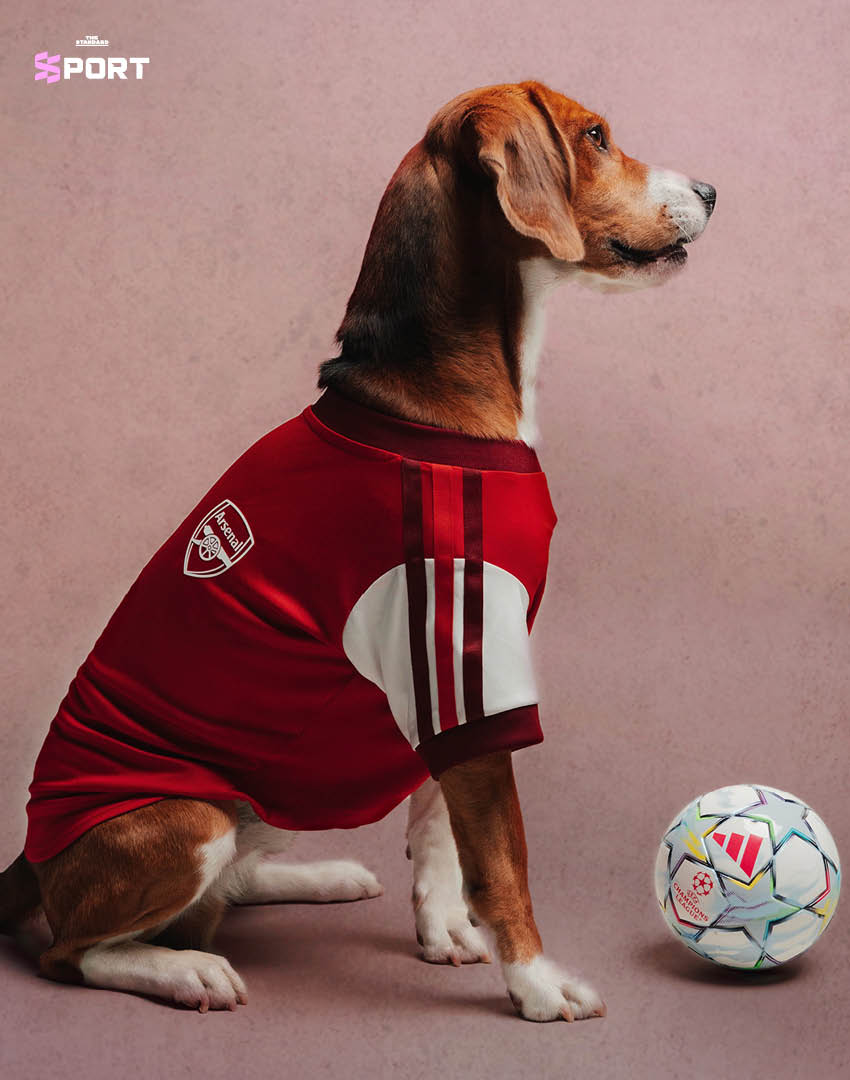 สุนัขสวมเสื้อฟุตบอล adidas ของสโมสรดังจากคอลเล็กชัน Clubs Pet Collection 5