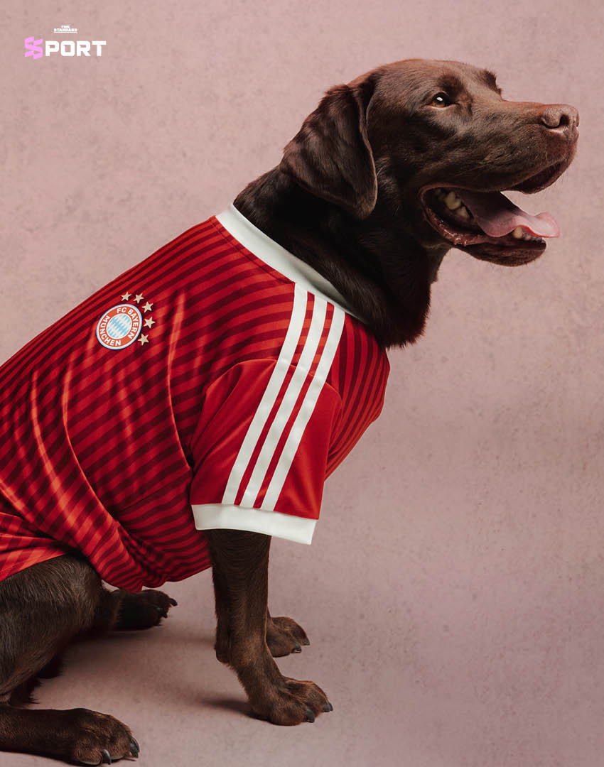 สุนัขสวมเสื้อฟุตบอล adidas ของสโมสรดังจากคอลเล็กชัน Clubs Pet Collection 7