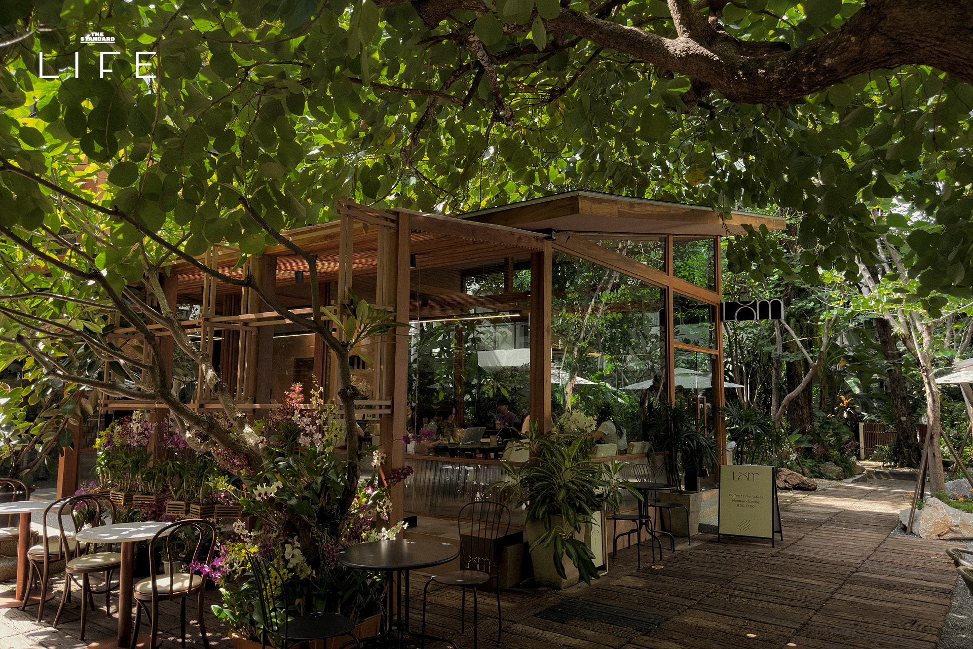 Cafe LOM คาเฟ่เรือนกระจกเปิดใหม่ย่านพระราม 9 บรรยากาศร่มรื่น 1