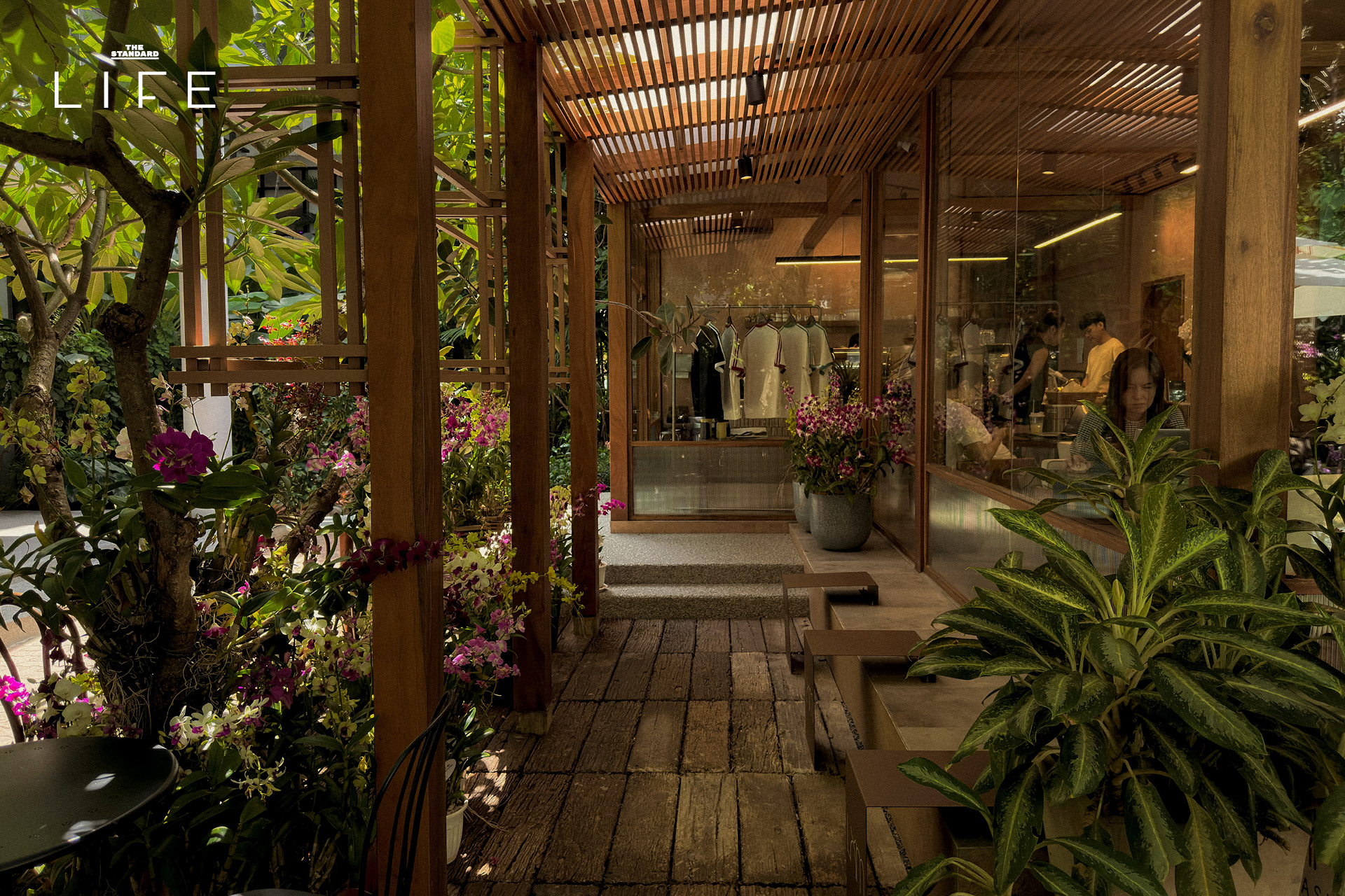 Cafe LOM คาเฟ่เรือนกระจกเปิดใหม่ย่านพระราม 9 บรรยากาศร่มรื่น 2