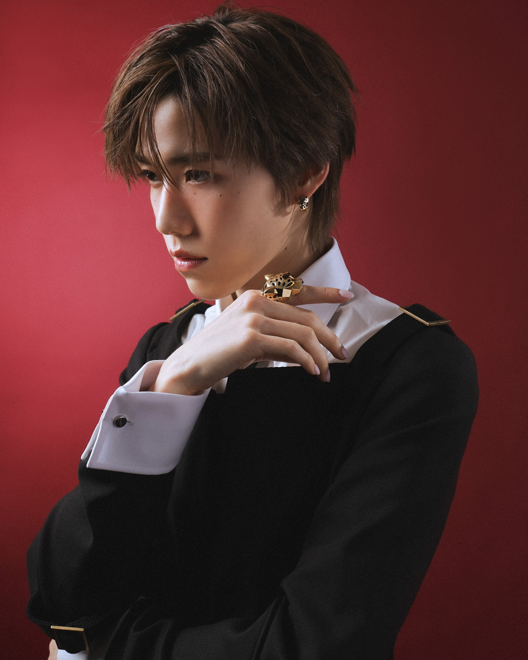 ภาพคนดังสวมใส่เครื่องประดับ Cartier บนพรมแดงงาน Weibo Gala 2026 2