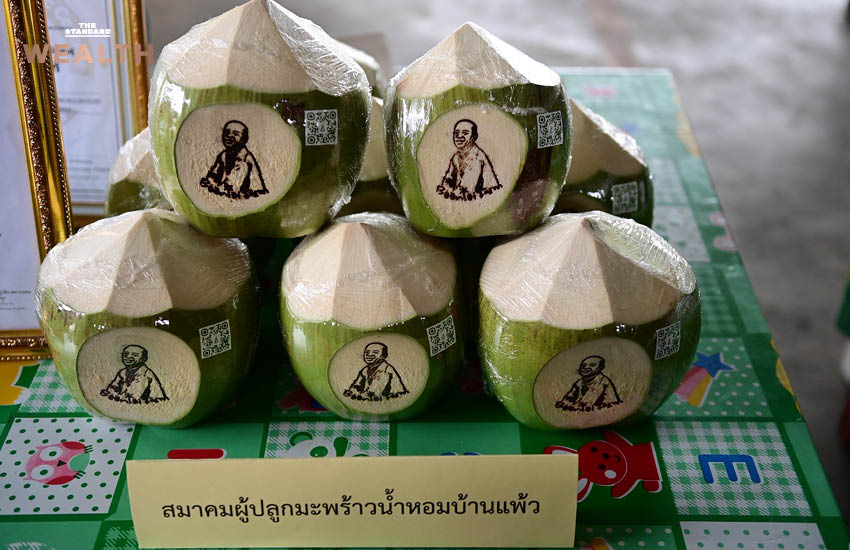 ภาพเจ้าหน้าที่กระทรวงพาณิชย์นำโดยอธิบดีกรมพัฒนาธุรกิจการค้า ตรวจสอบน้ำมะพร้าว 2