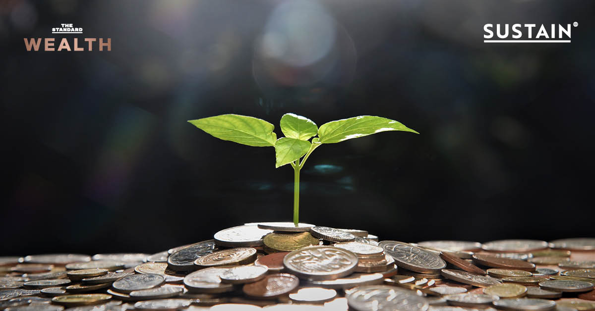 ภาพกองเหรียญและต้นกล้า สื่อถึงการเติบโตของ ESG Bond