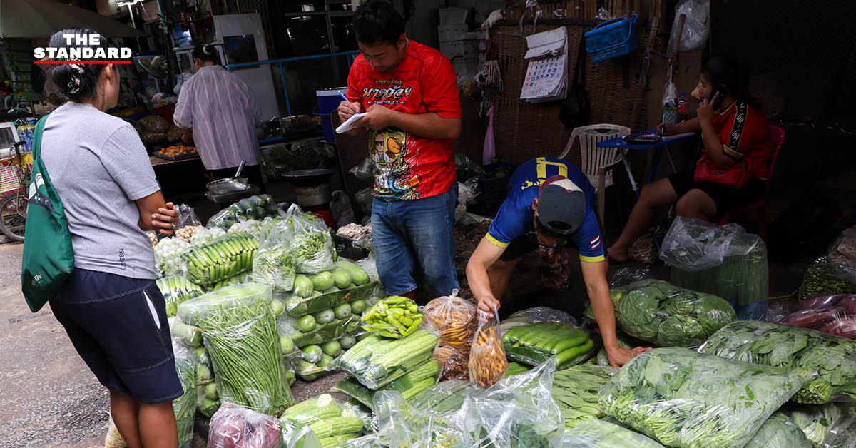 เจ้าหน้าที่ อย. ตรวจสอบผักกาดขาวนำเข้า
