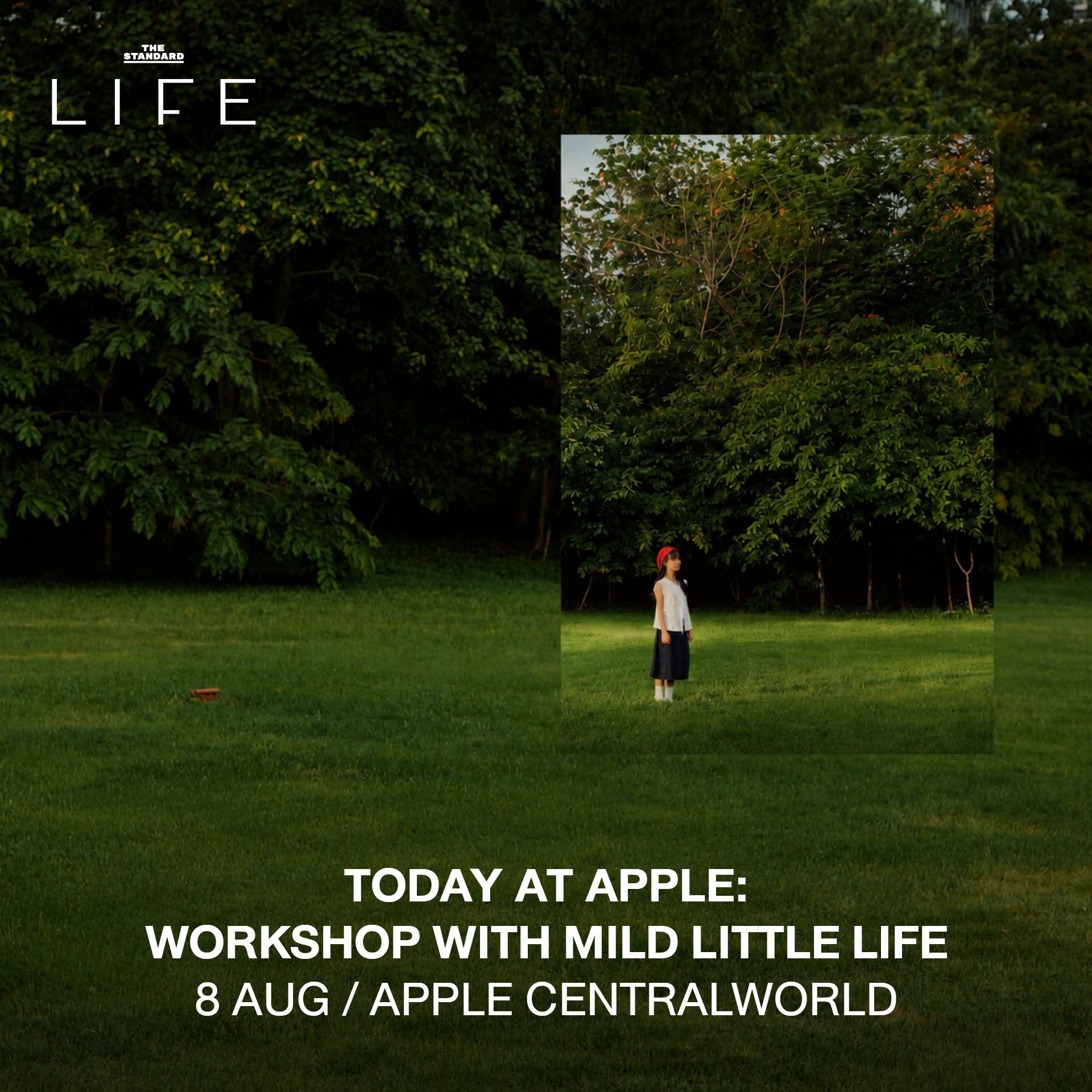 ภาพรวมกิจกรรมน่าทำประจำสัปดาห์ LIFE This Week ระหว่าง 5-11 สิงหาคม 2569 9