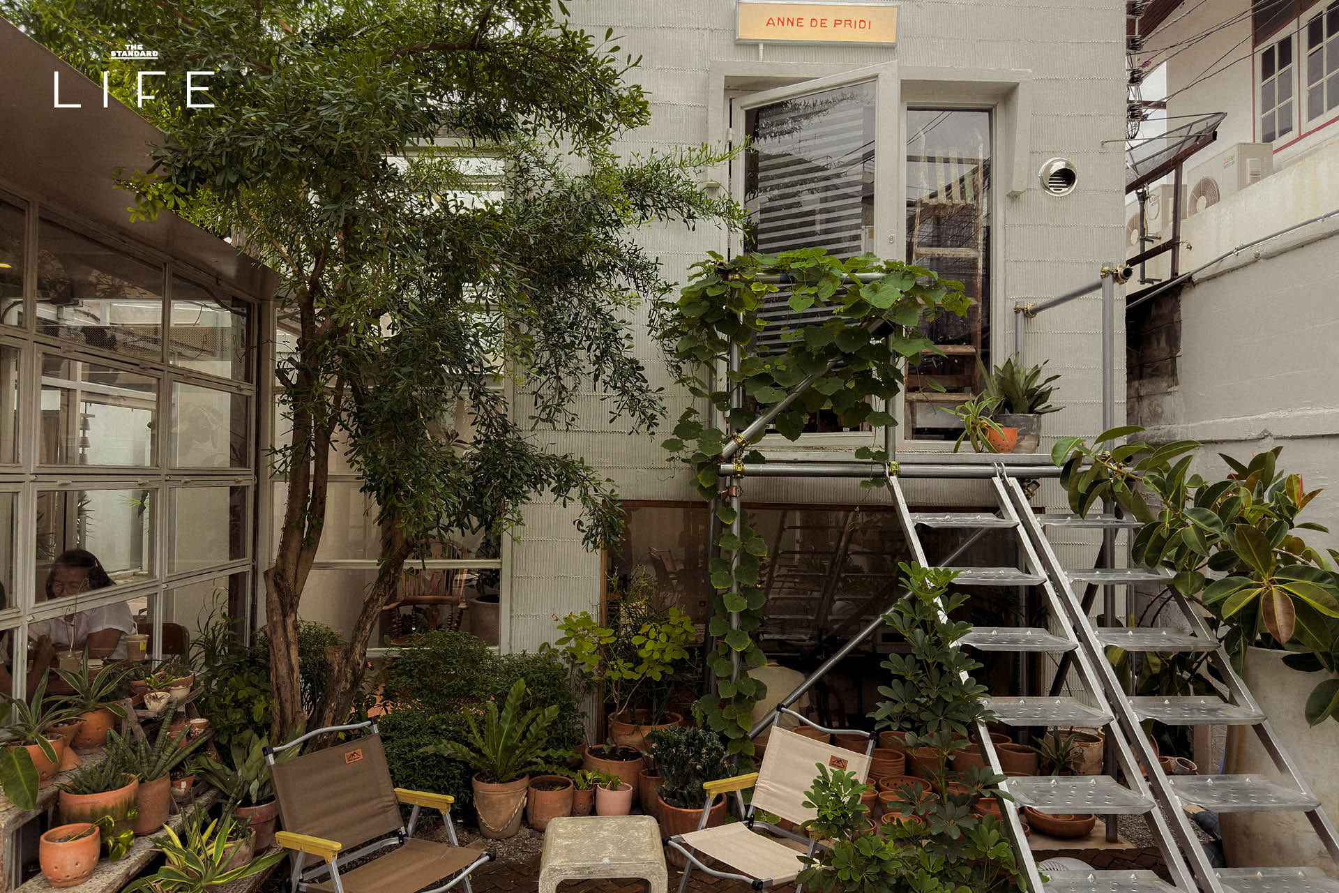 ภาพ SALAA Craftsman Yard เวิ้งใหม่ในซอยปรีดีพนมยงค์ 15 ที่รวมร้านกาแฟ บาร์มัทฉะ ร้านซาวโดวจ์ และสตูดิโอออกแบบ 3