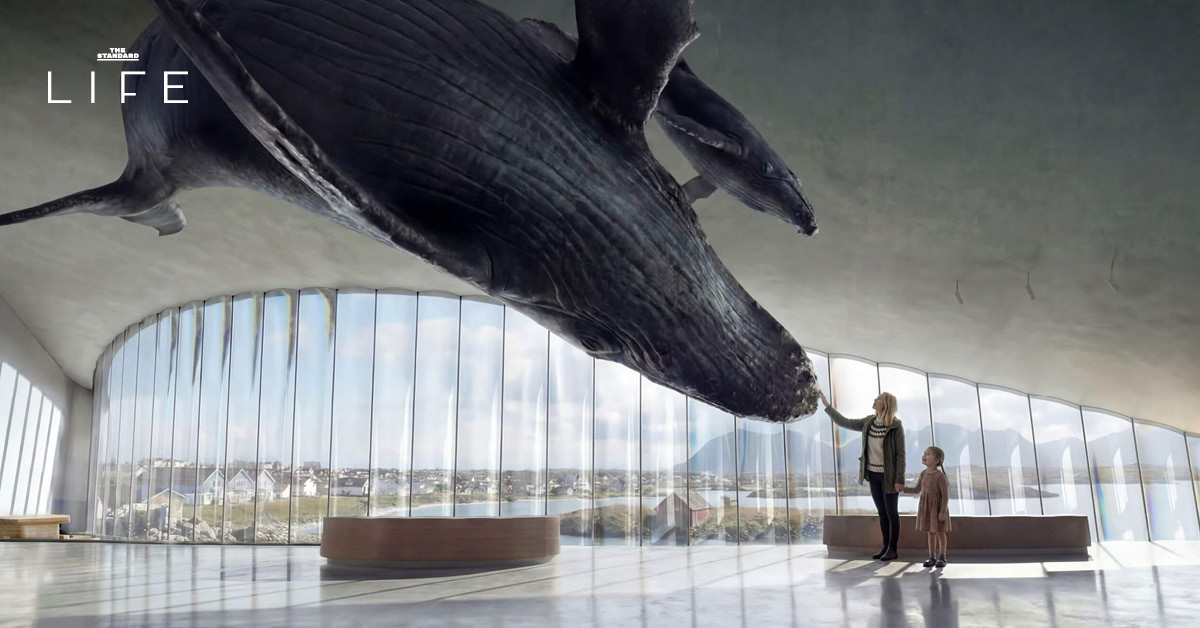 ภาพอาคาร The Whale ศูนย์เรียนรู้เรื่องวาฬในนอร์เวย์ ที่มีรูปทรงโค้งกลมกลืนกับธรรมชาติริมทะเล