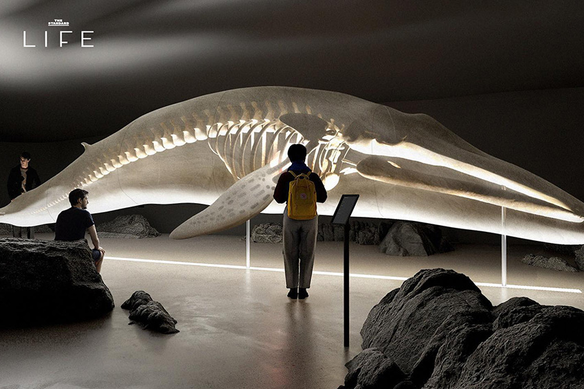 ภาพอาคาร The Whale ศูนย์เรียนรู้เรื่องวาฬในนอร์เวย์ ที่มีรูปทรงโค้งกลมกลืนกับธรรมชาติริมทะเล 4
