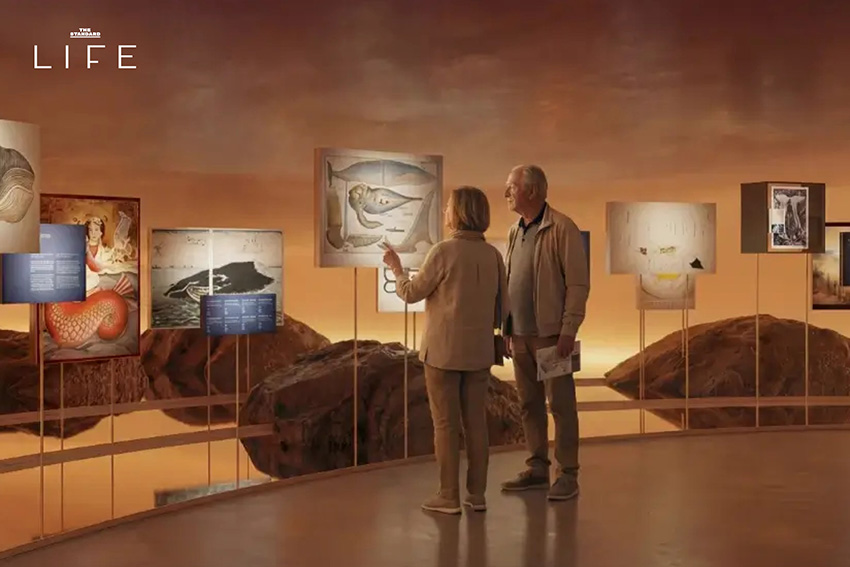 ภาพอาคาร The Whale ศูนย์เรียนรู้เรื่องวาฬในนอร์เวย์ ที่มีรูปทรงโค้งกลมกลืนกับธรรมชาติริมทะเล 8