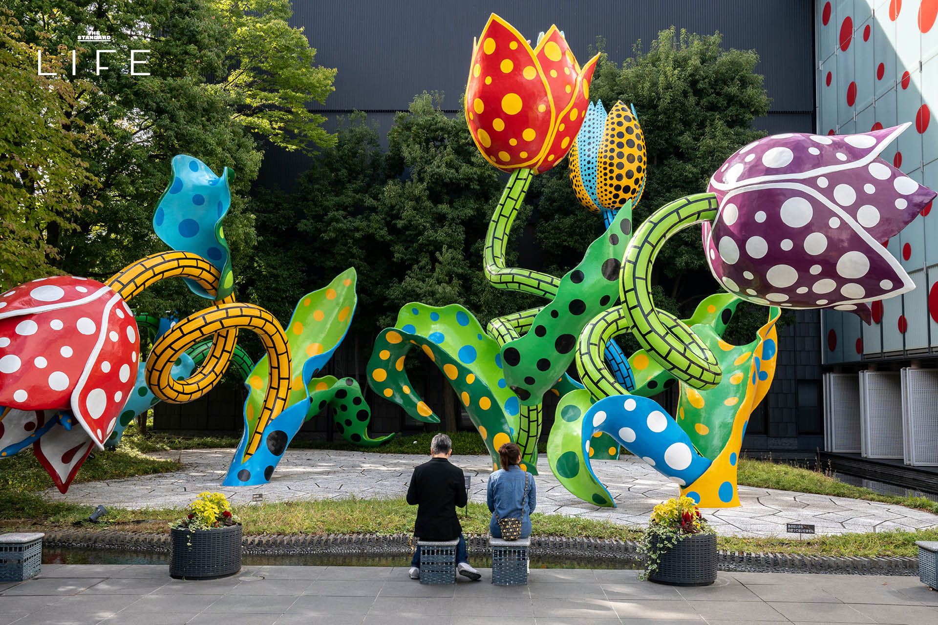 ภาพฟักทองสีเหลืองลายจุดของ Yayoi Kusama ริมทะเลบนเกาะนาโอชิมะ 1