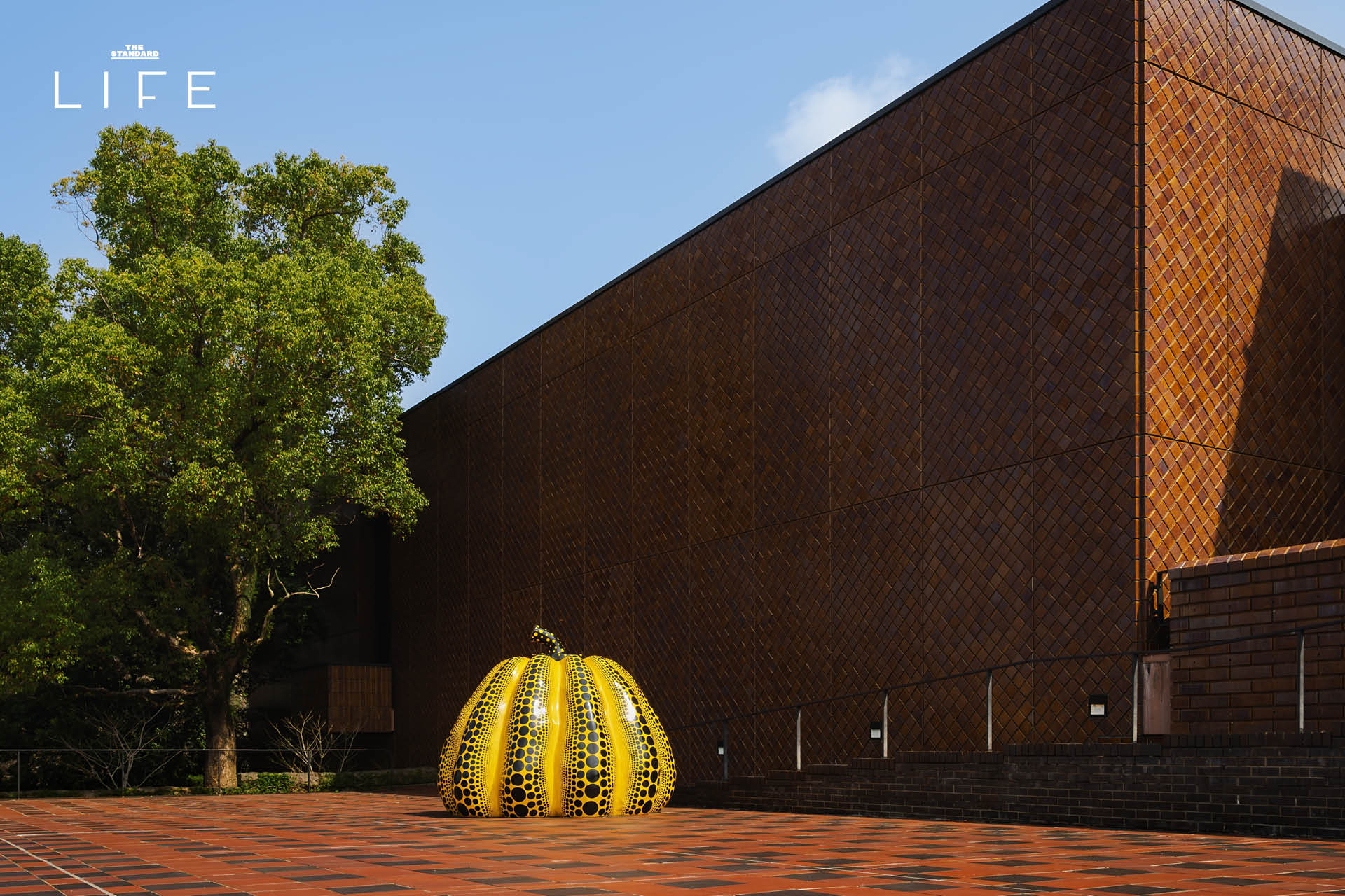ภาพฟักทองสีเหลืองลายจุดของ Yayoi Kusama ริมทะเลบนเกาะนาโอชิมะ 4