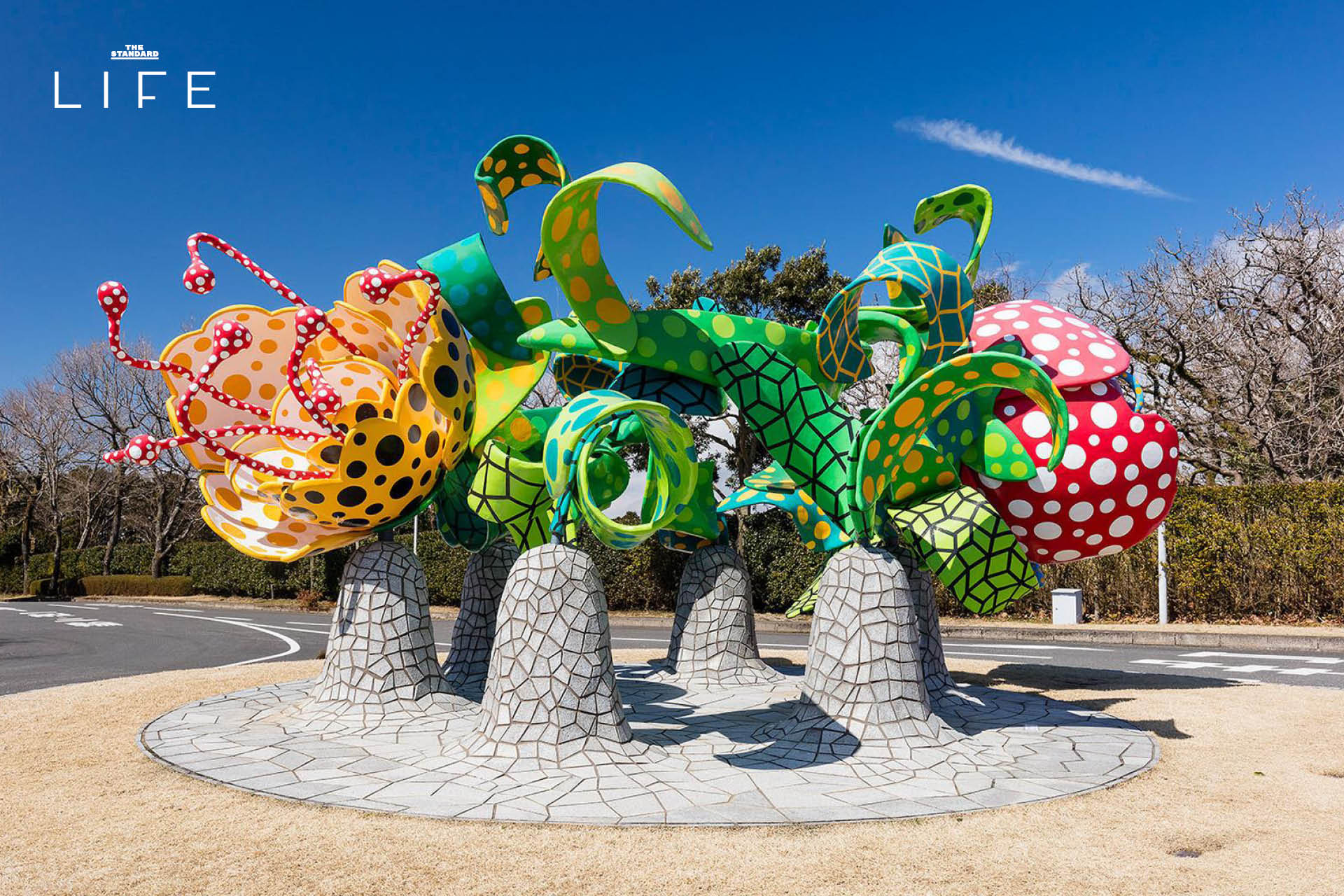 ภาพฟักทองสีเหลืองลายจุดของ Yayoi Kusama ริมทะเลบนเกาะนาโอชิมะ 7