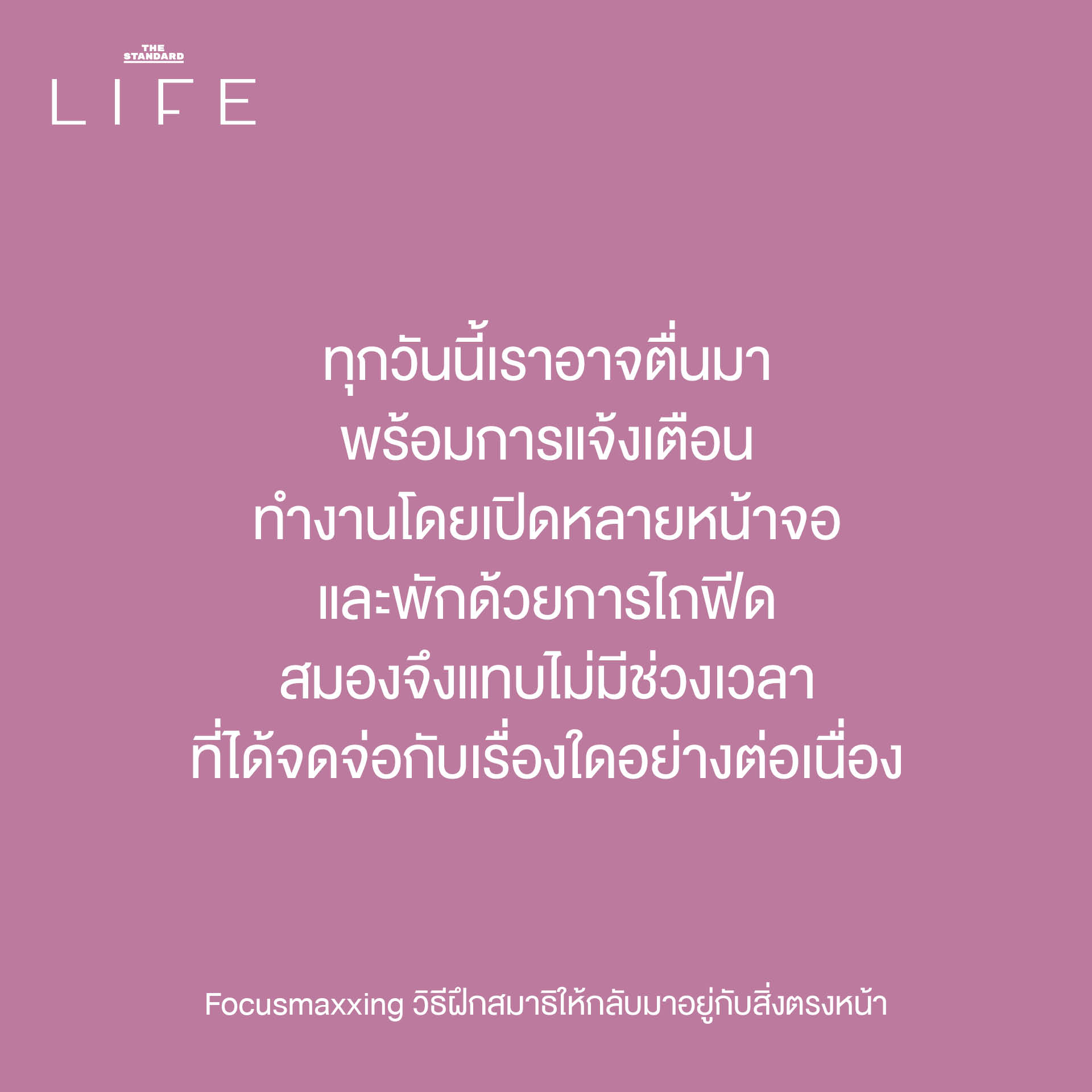 ภาพประกอบแสดงการจดจ่อกับสิ่งตรงหน้าเพื่อฝึกสมาธิแบบ Focusmaxxing 2
